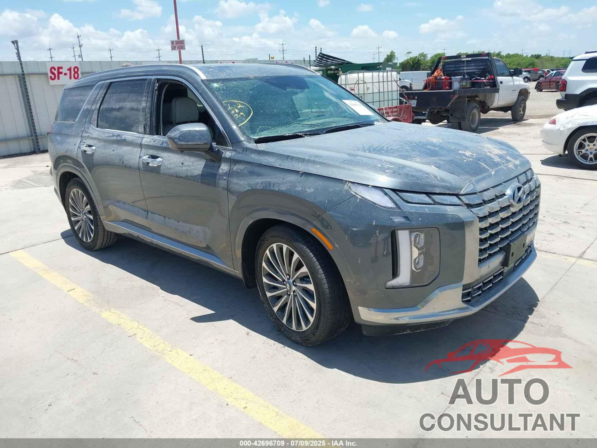 HYUNDAI PALISADE 2025 - KM8R74GE9SU871398