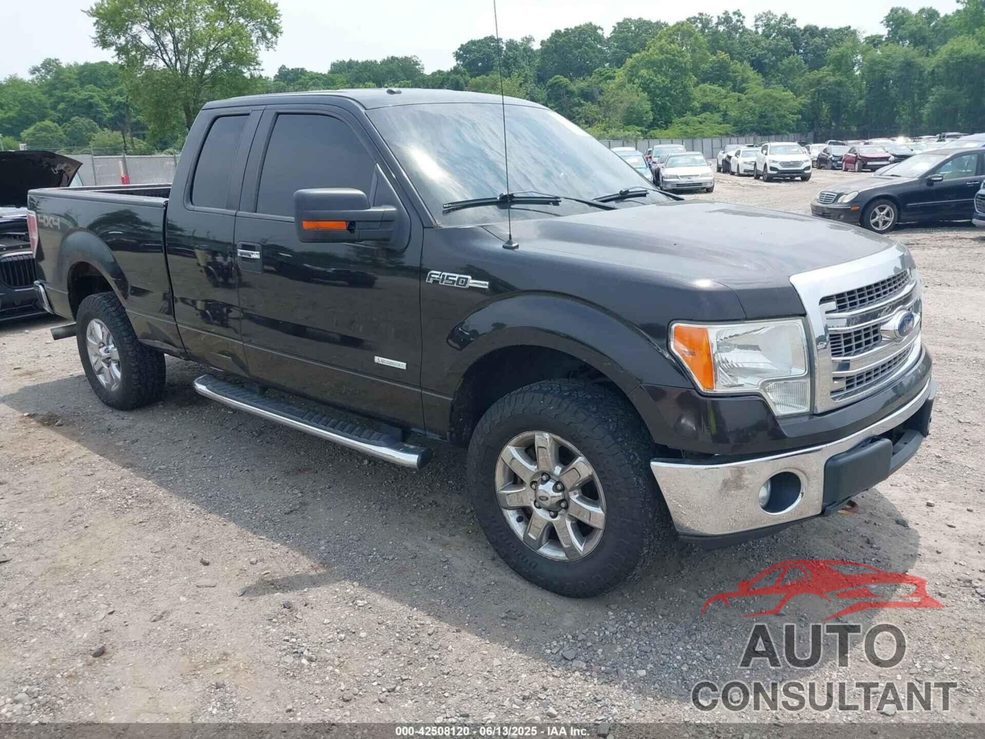 FORD F-150 2013 - 1FTFX1ET4DFB28193