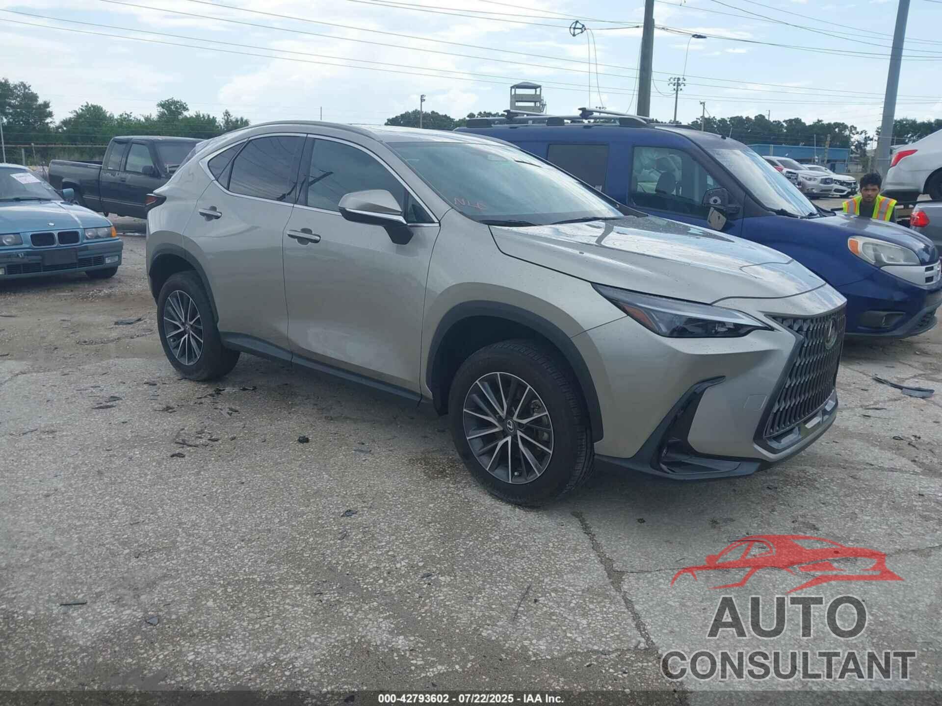 LEXUS NX 350H 2024 - 2T2AKCEZ7RC023491