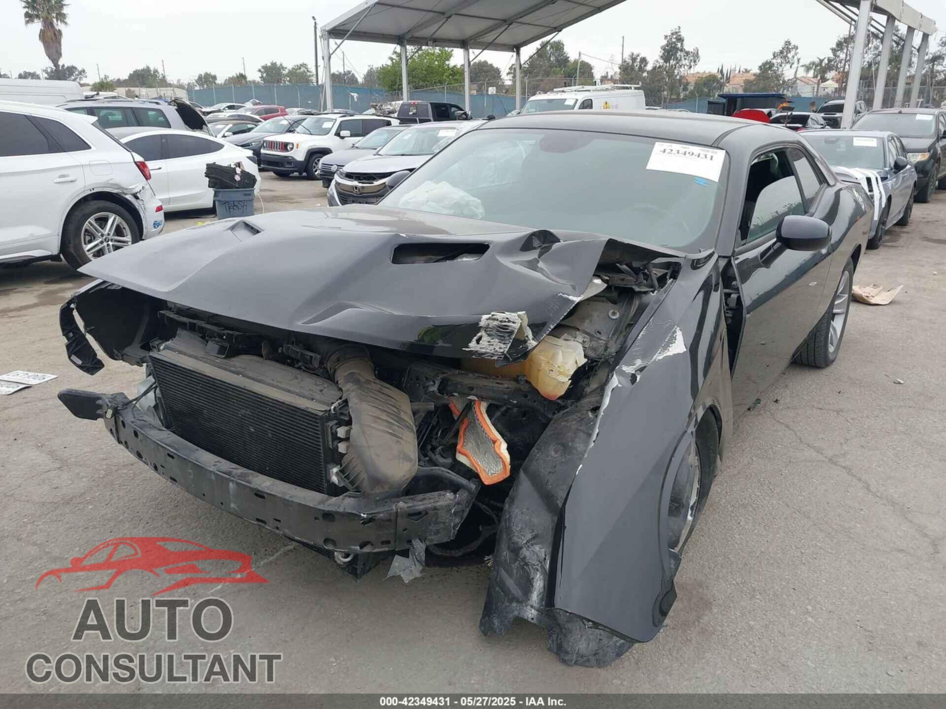 DODGE CHALLENGER 2019 - 2C3CDZAG2KH701594