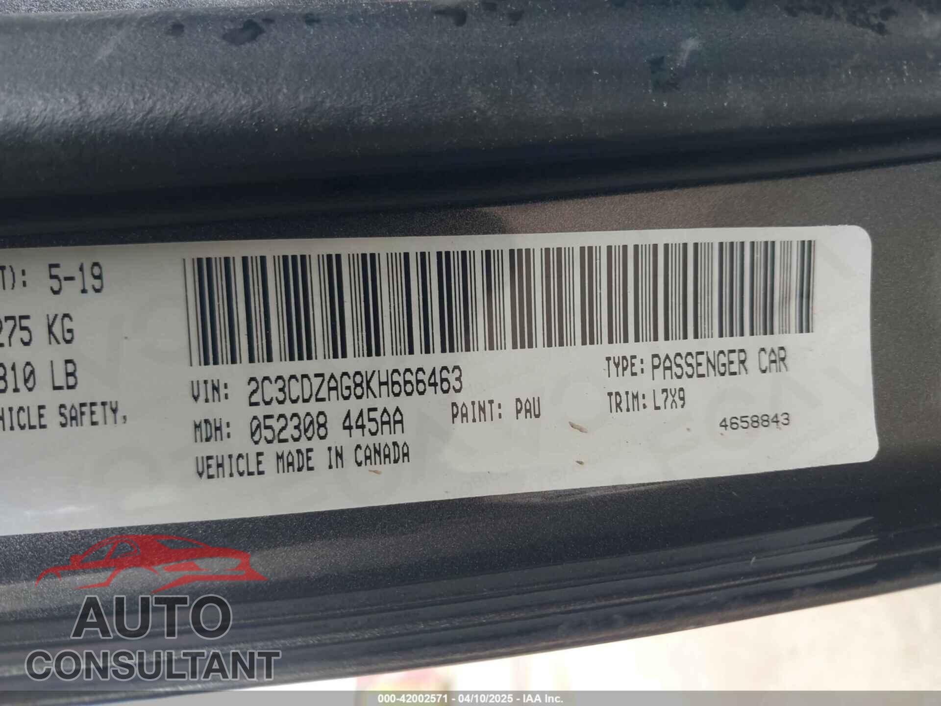 DODGE CHALLENGER 2019 - 2C3CDZAG8KH666463