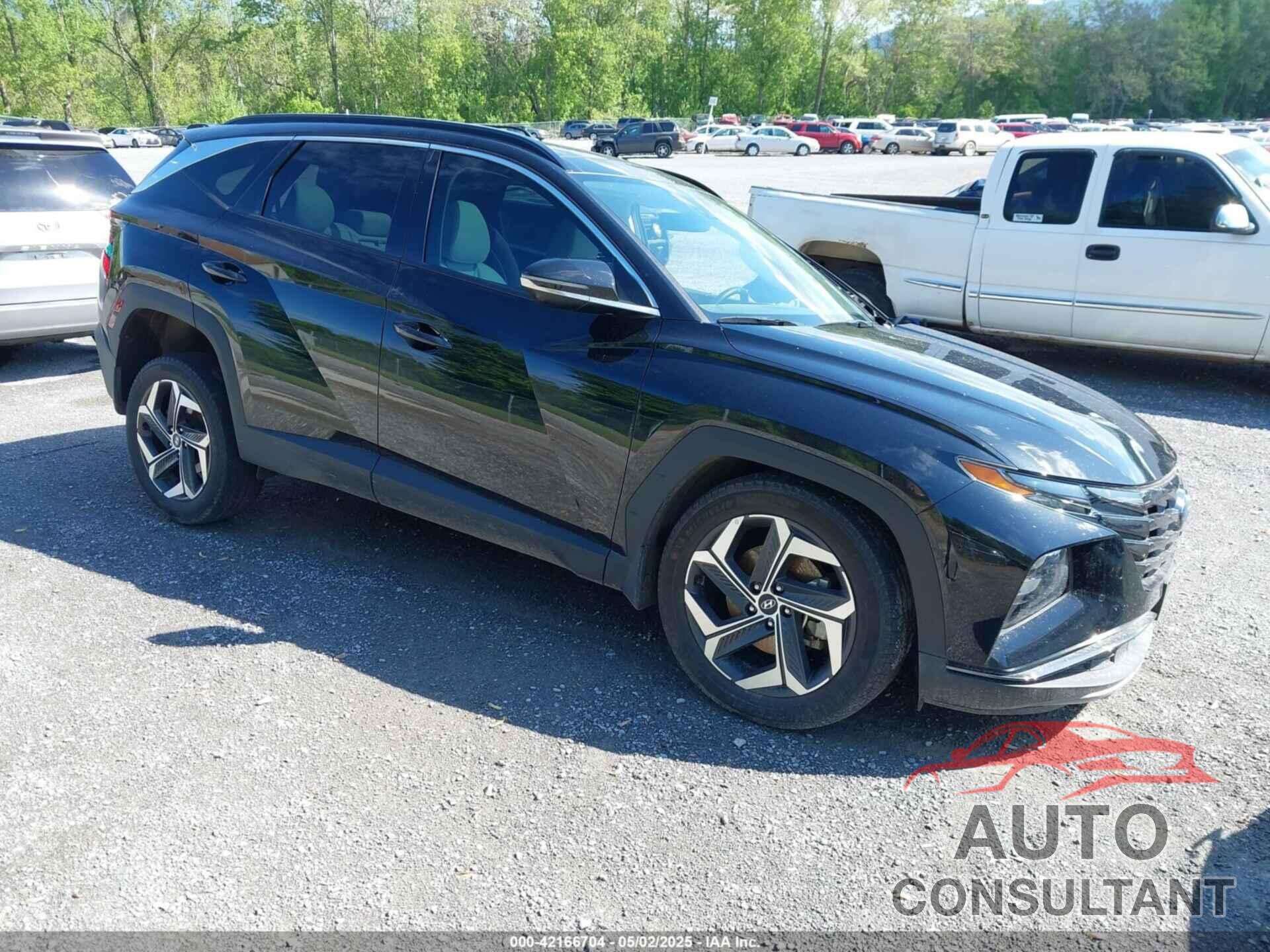 HYUNDAI TUCSON 2024 - 5NMJECDE8RH330138