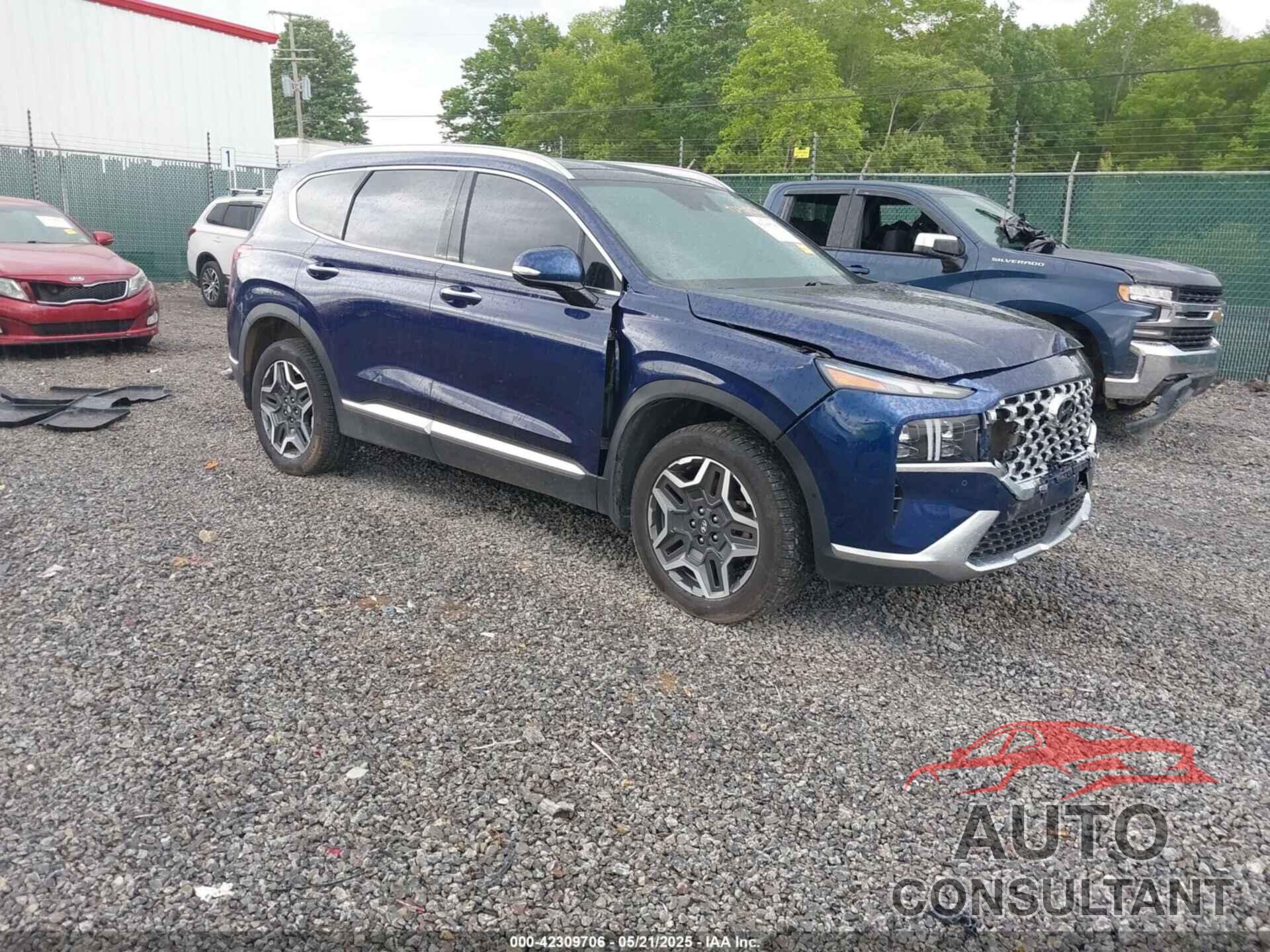 HYUNDAI SANTA FE 2022 - 5NMS4DAL7NH461894