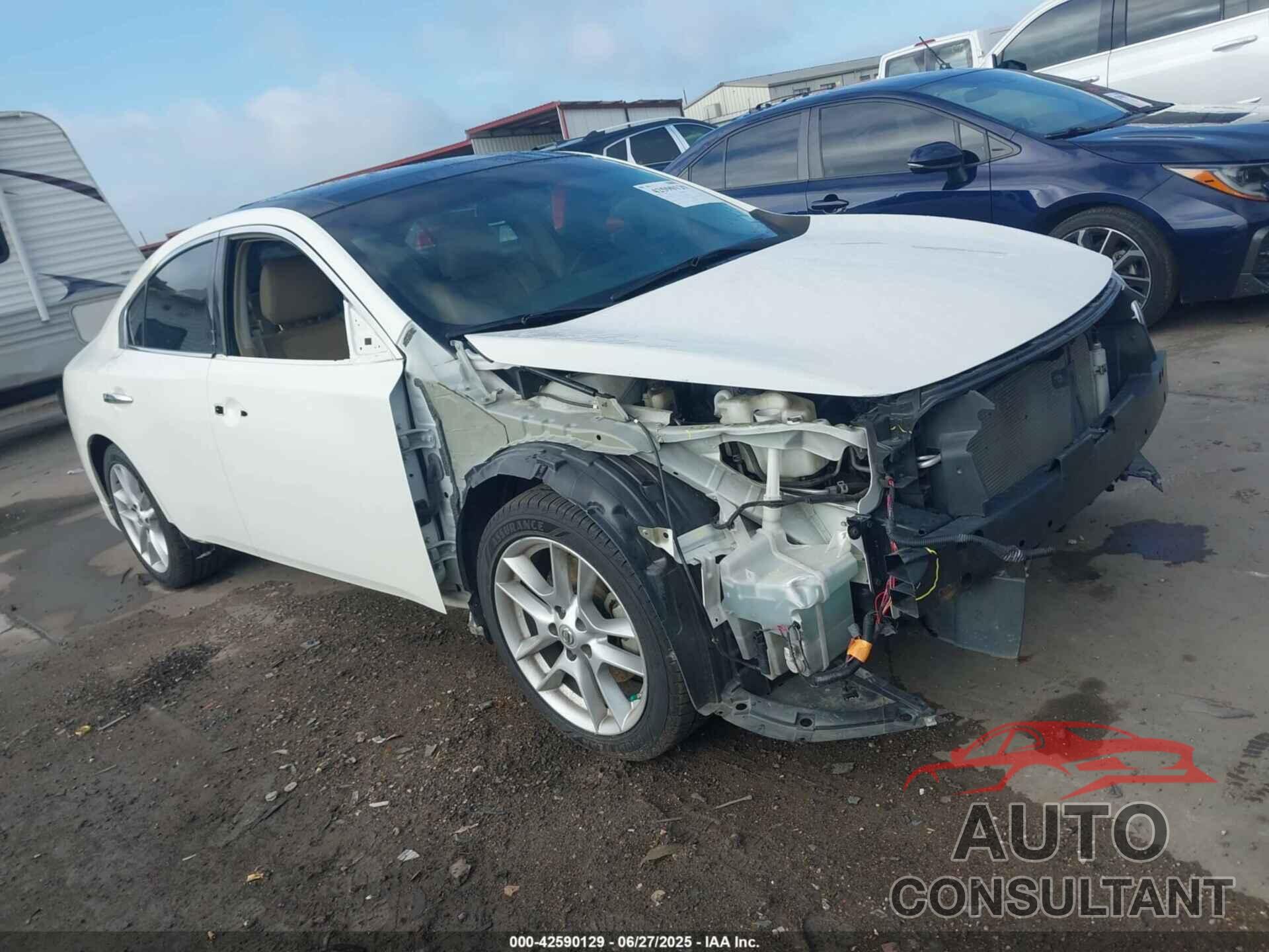 NISSAN MAXIMA 2010 - 1N4AA5AP8AC823842