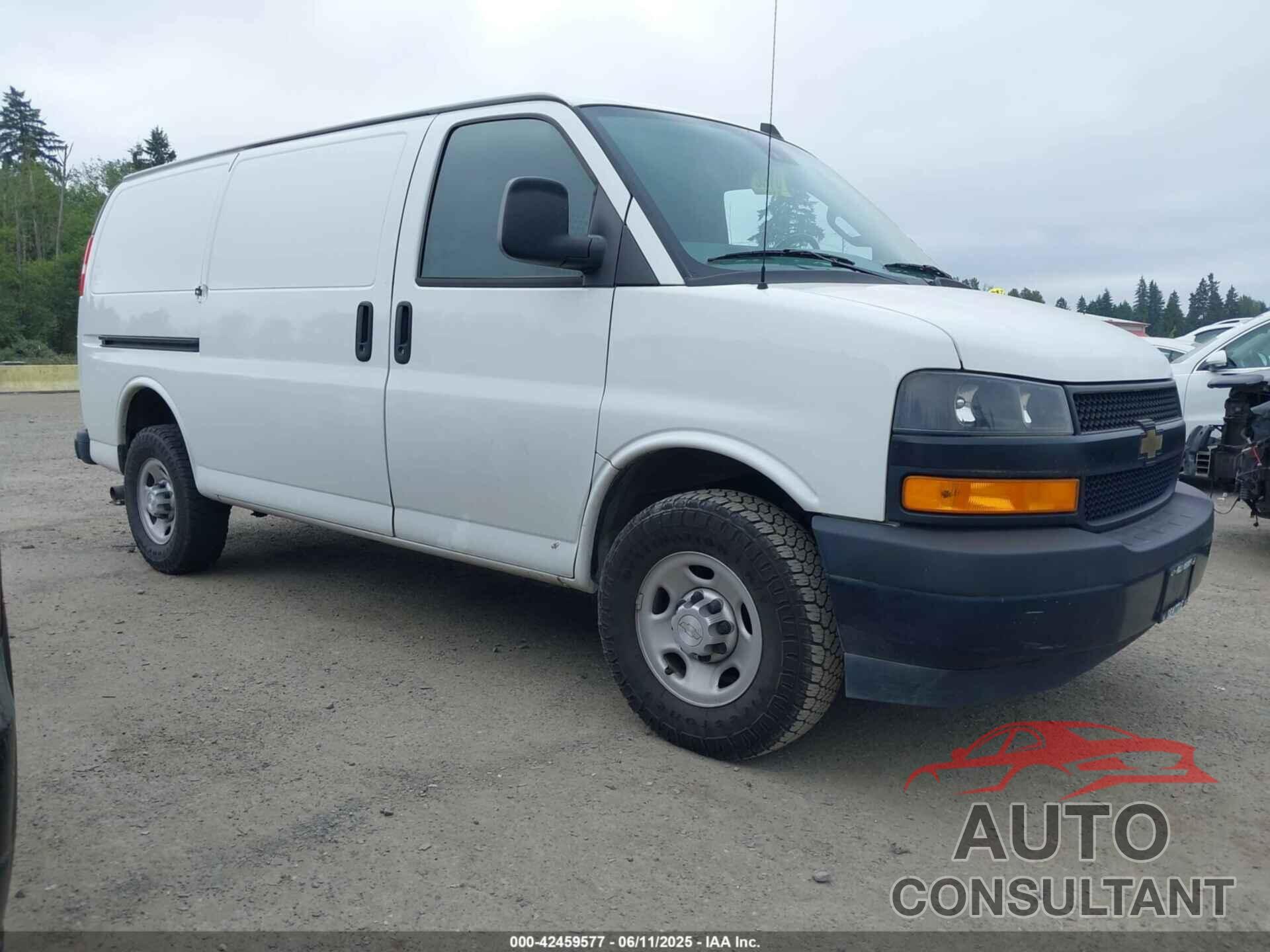 CHEVROLET EXPRESS 2500 2019 - 1GCWGAFP7K1189100