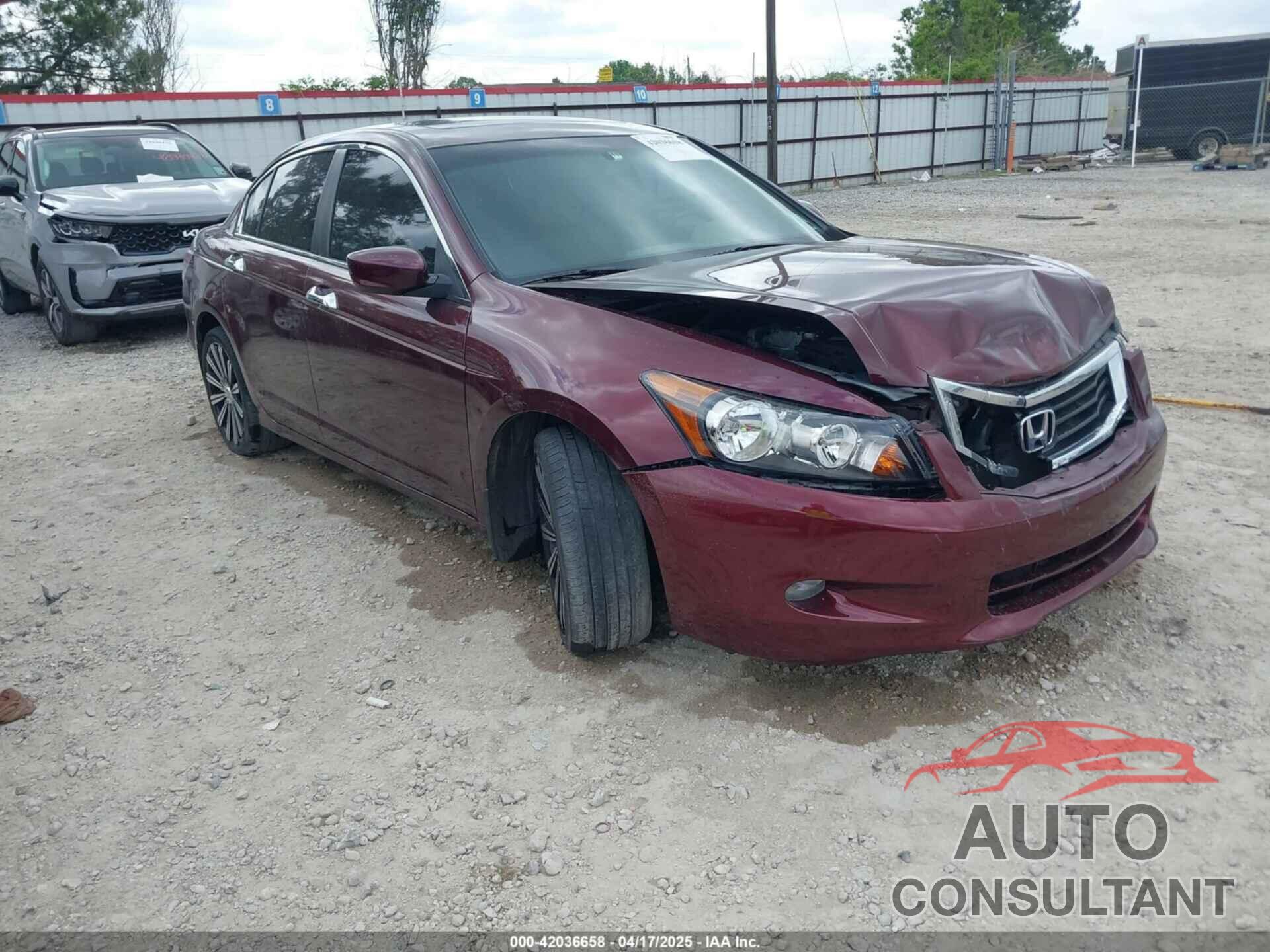 HONDA ACCORD 2009 - 1HGCP36899A047995