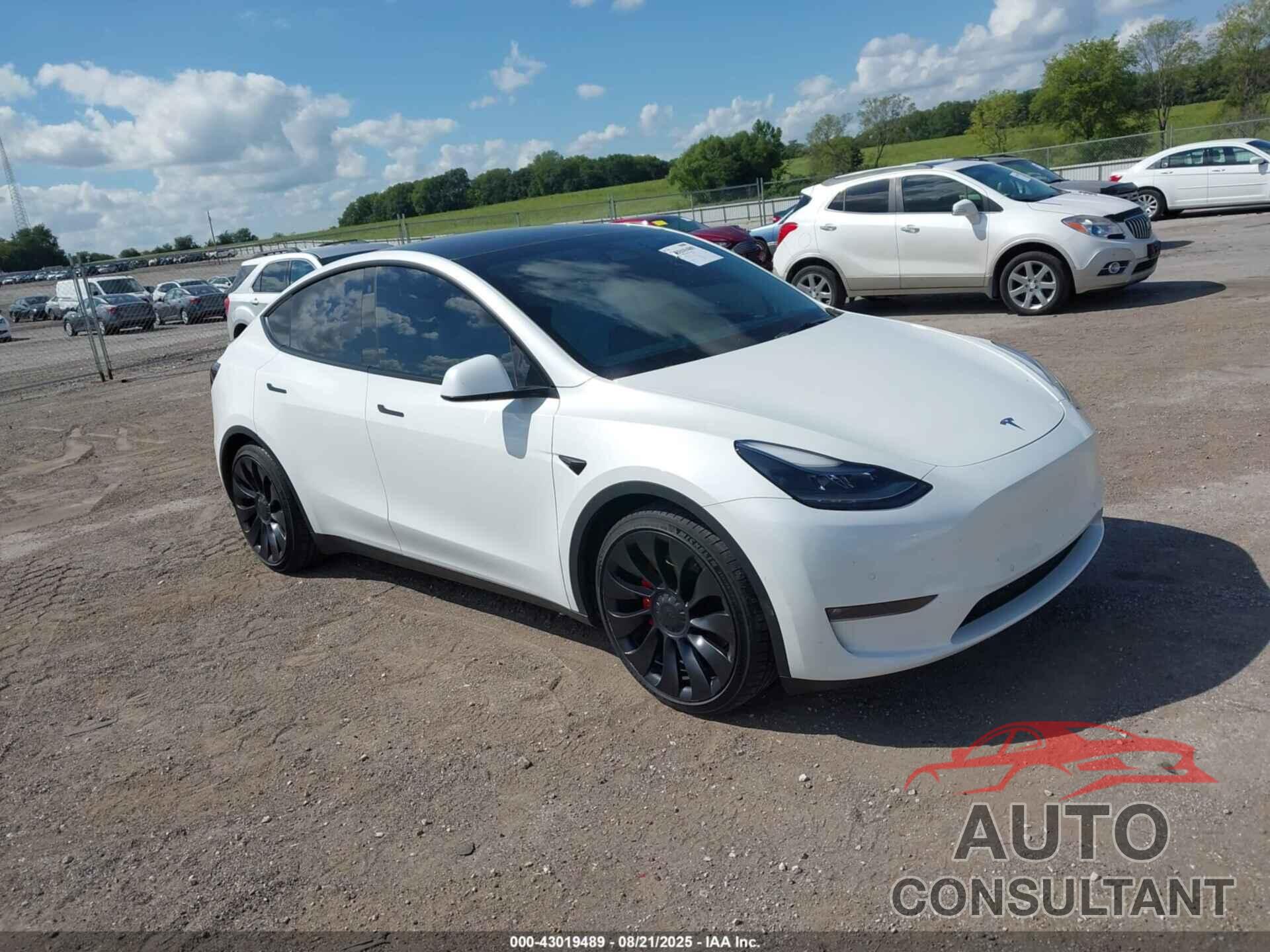 TESLA MODEL Y 2022 - 7SAYGDEF3NF326891