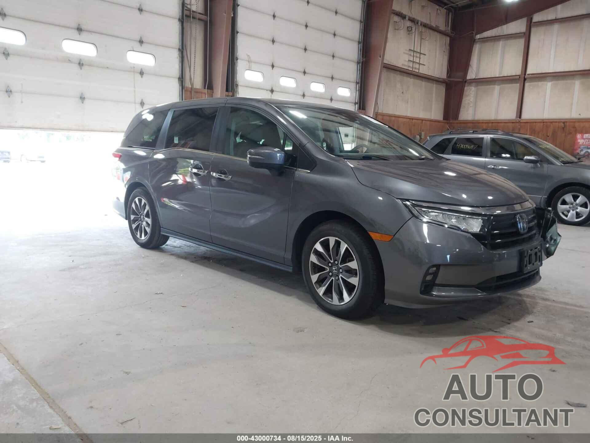 HONDA ODYSSEY 2022 - 5FNRL6H77NB063530