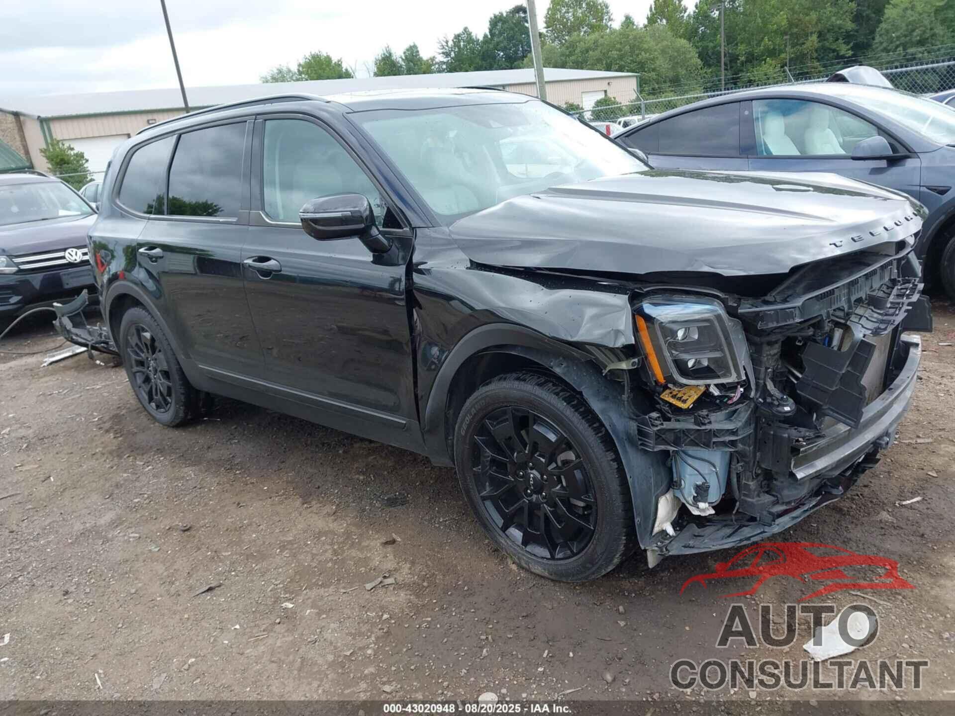 KIA TELLURIDE 2022 - 5XYP5DHC3NG195888