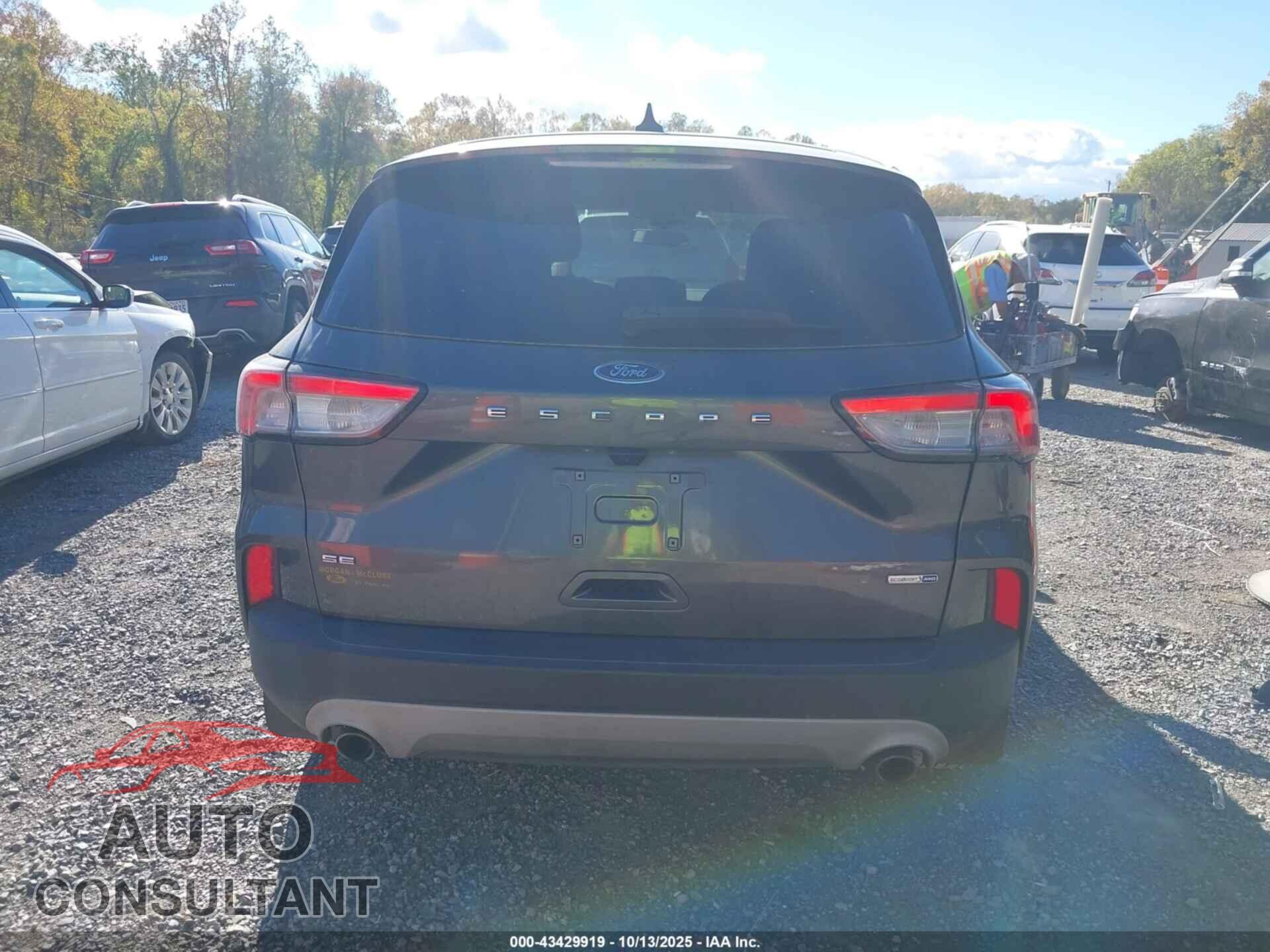 FORD ESCAPE 2020 - 1FMCU9G61LUA96813