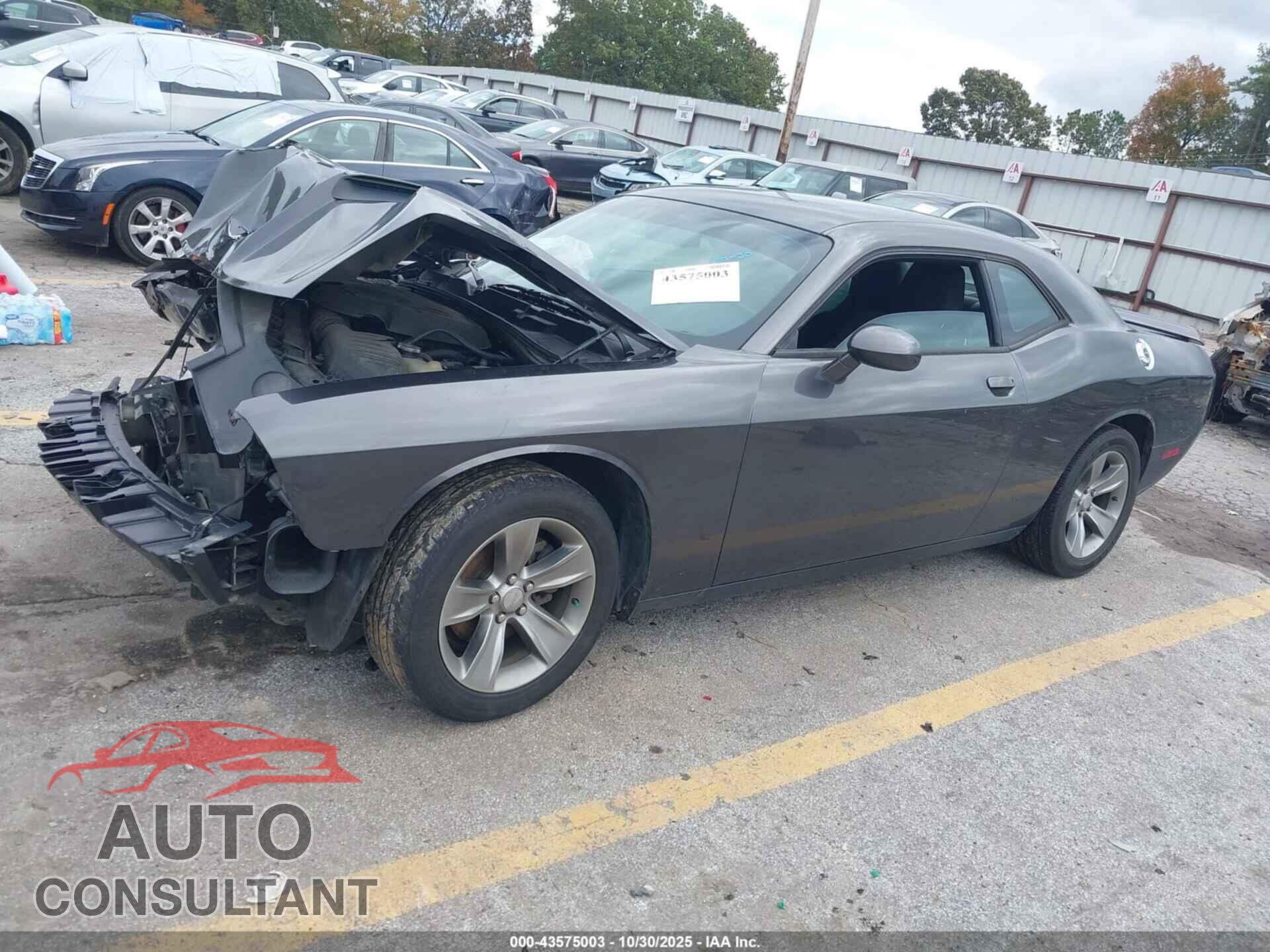 DODGE CHALLENGER 2019 - 2C3CDZAG3KH752294