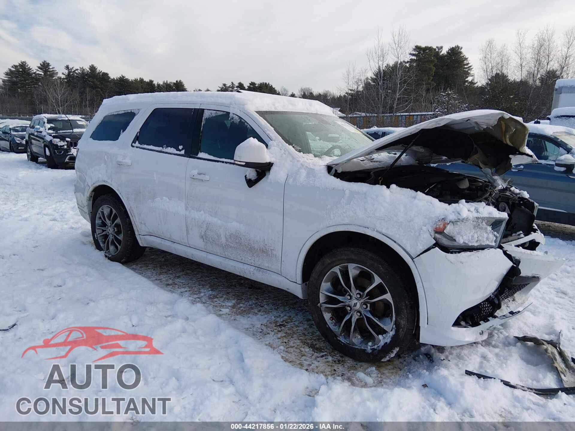 DODGE DURANGO 2019 - 1C4RDJDG2KC723617