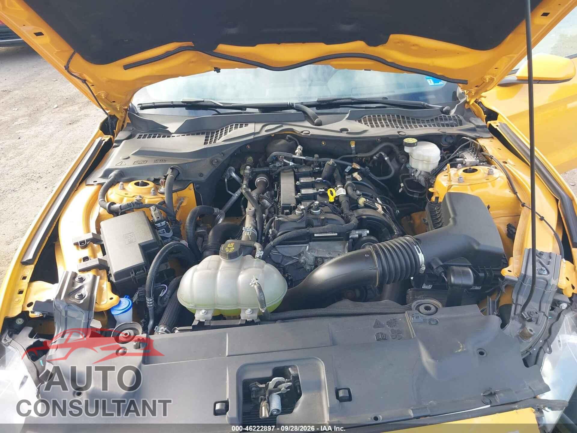 FORD MUSTANG 2022 - 1FA6P8TH3N5149072