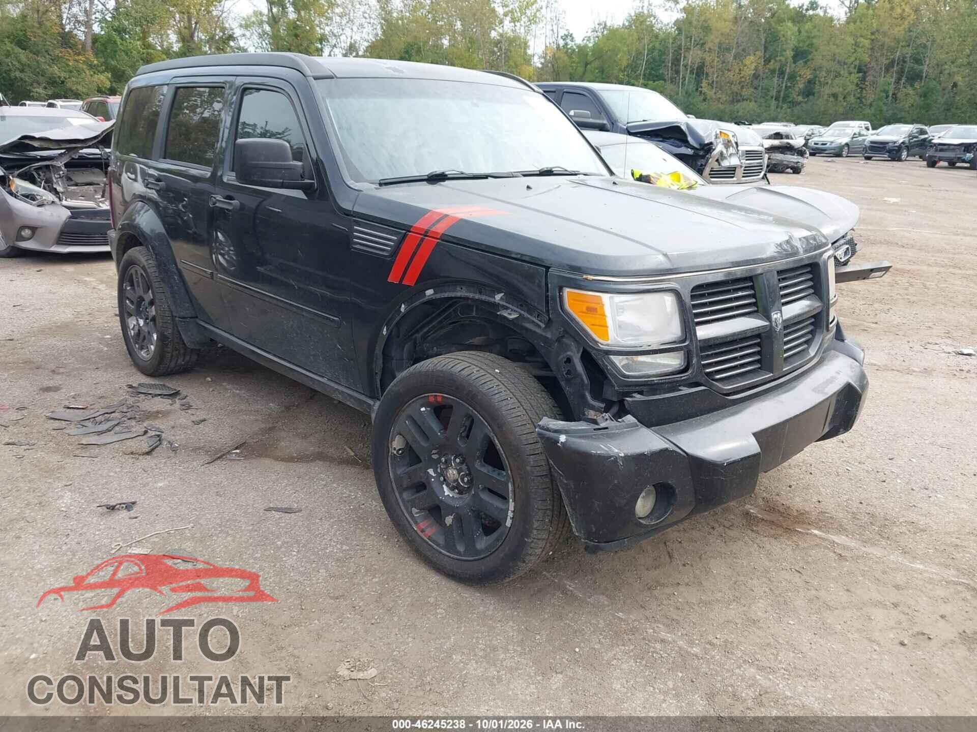 DODGE NITRO 2009 - 1D8GU58X39W542948
