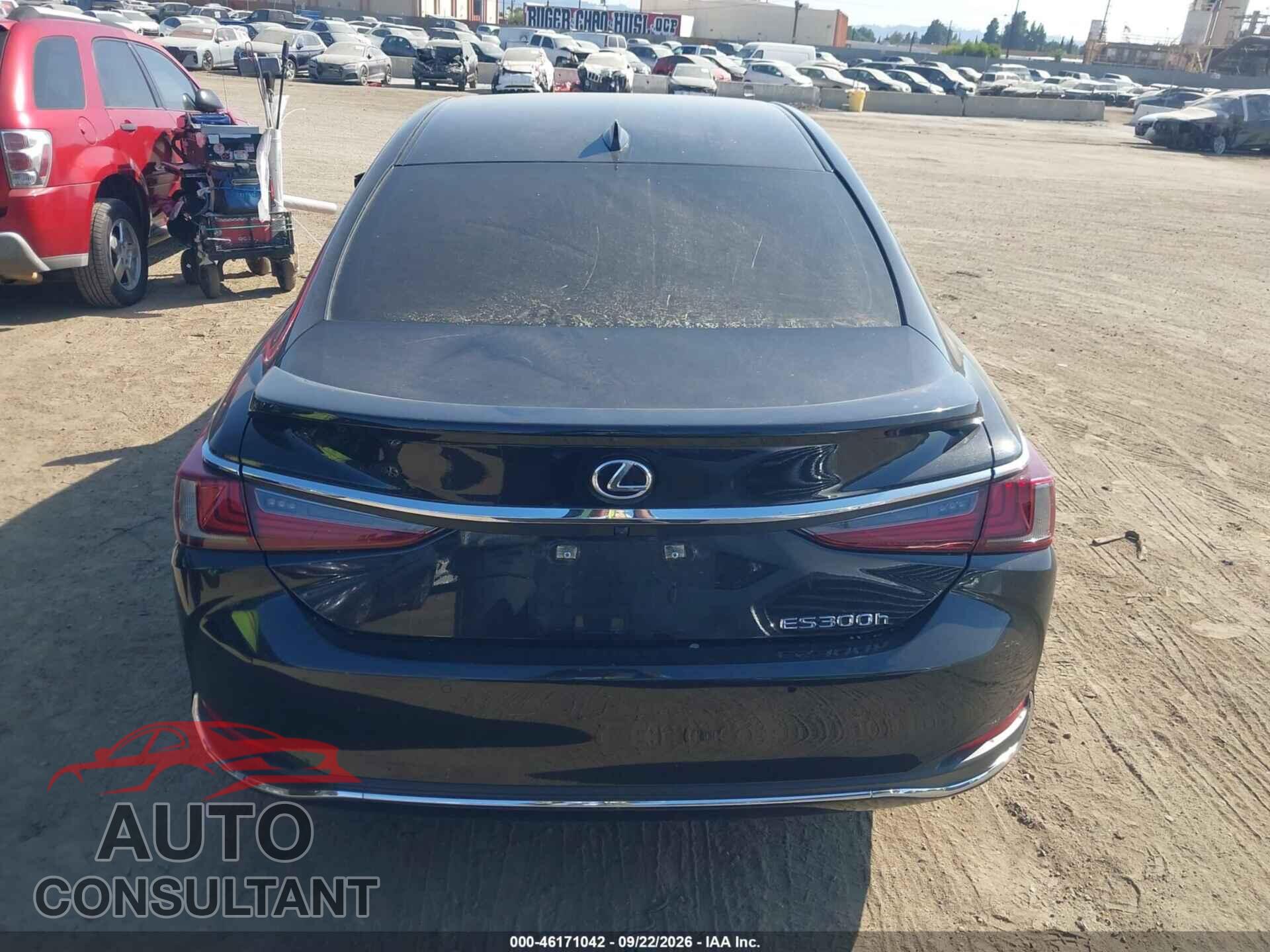 LEXUS ES 300H 2024 - 58ADA1C16RU044703