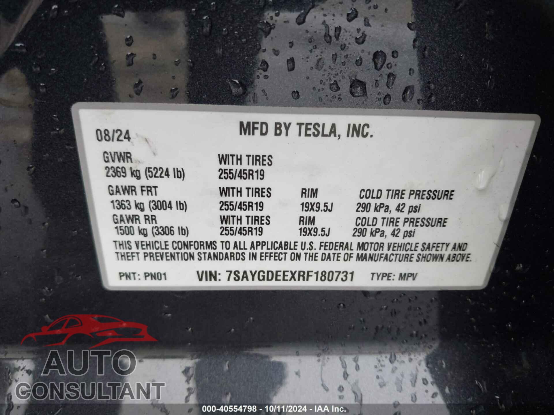 TESLA MODEL Y 2024 - 7SAYGDEEXRF180731