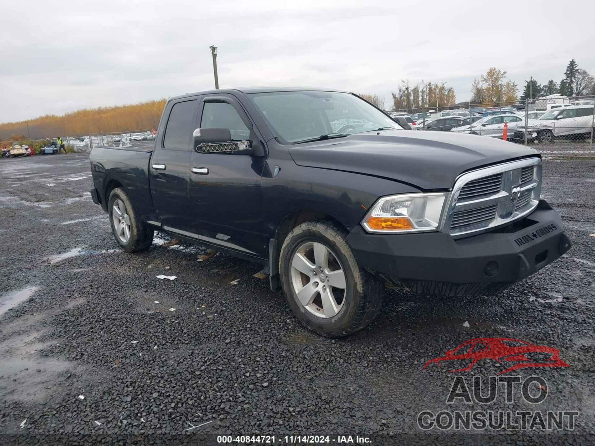 DODGE RAM 1500 2009 - 1D3HV18T19S797893