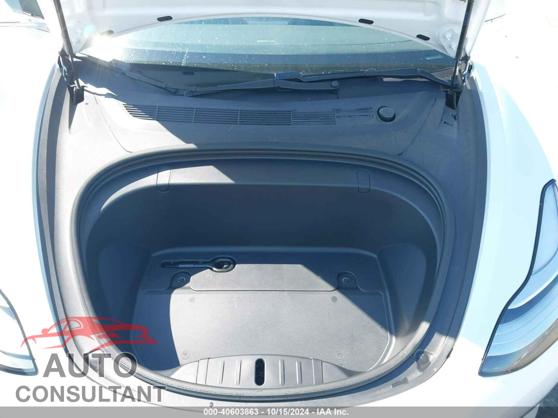 TESLA MODEL 3 2019 - 5YJ3E1EA0KF317528