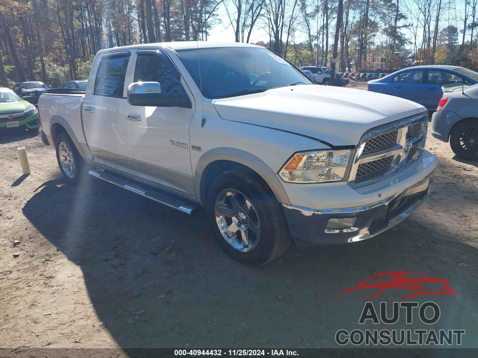 DODGE RAM 1500 2010 - 1D7RB1CT3AS156073