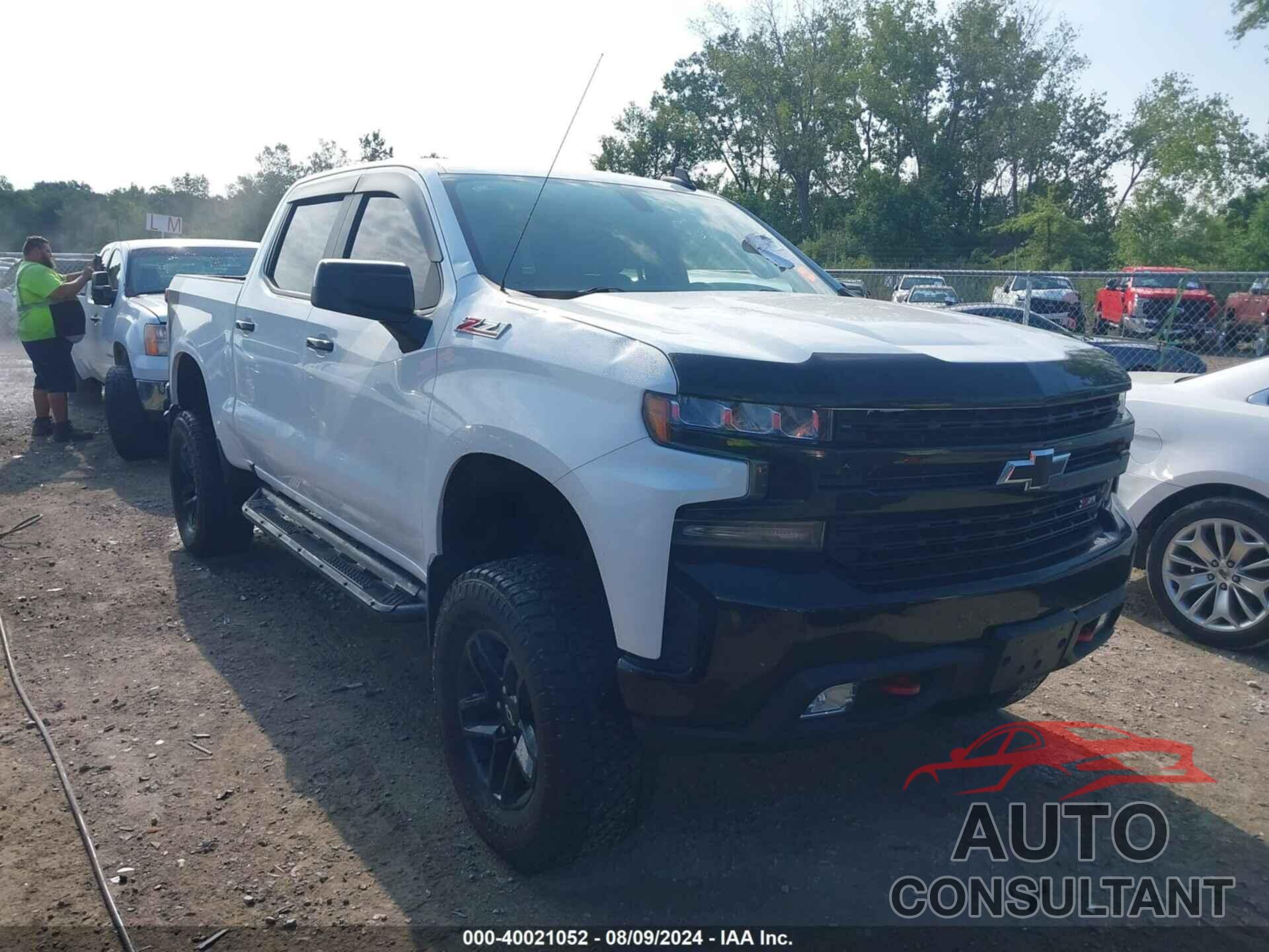 CHEVROLET SILVERADO 1500 2019 - 1GCPYFED1KZ167150