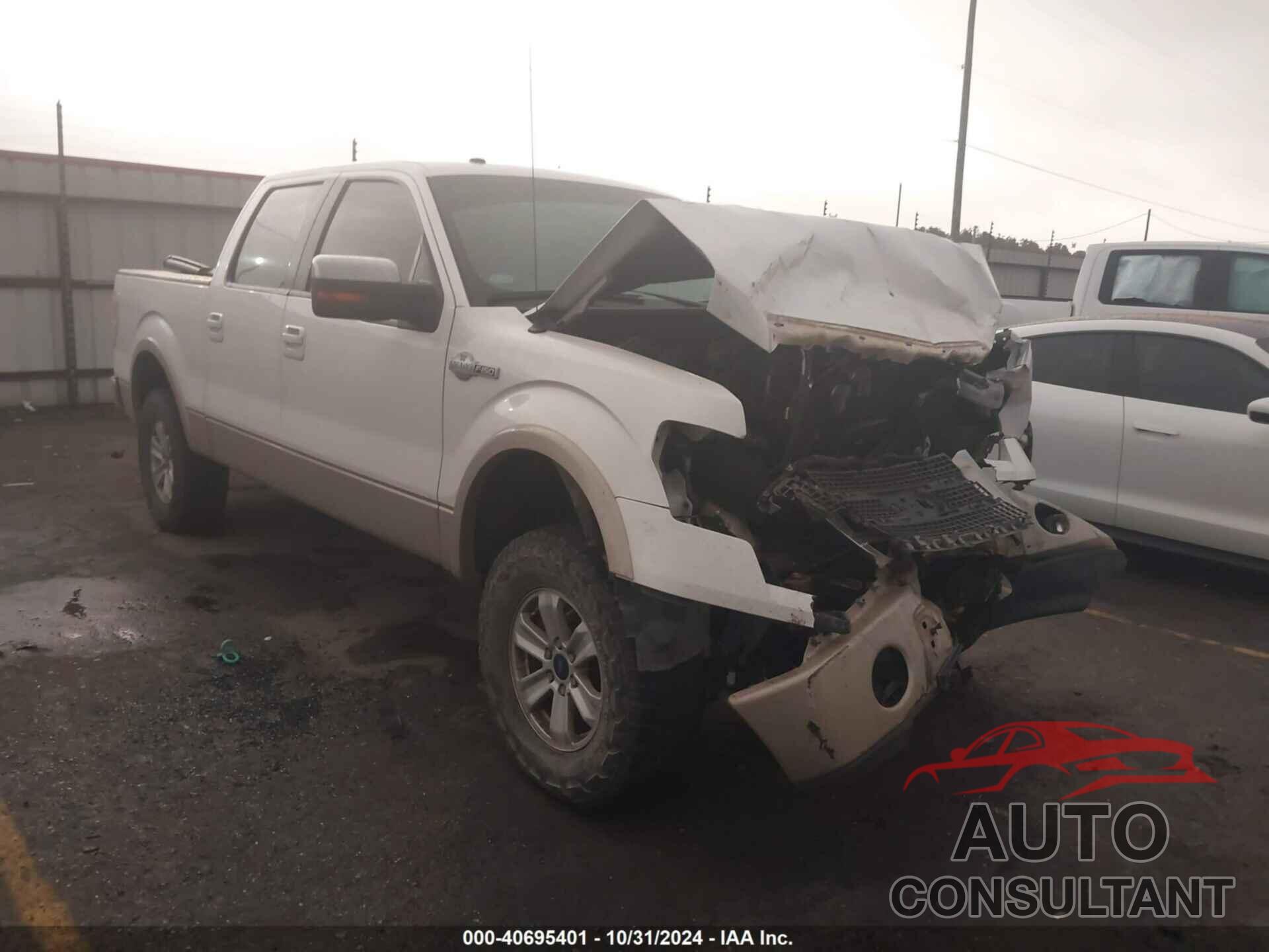 FORD F-150 2010 - 1FTFW1EV2AKC33712