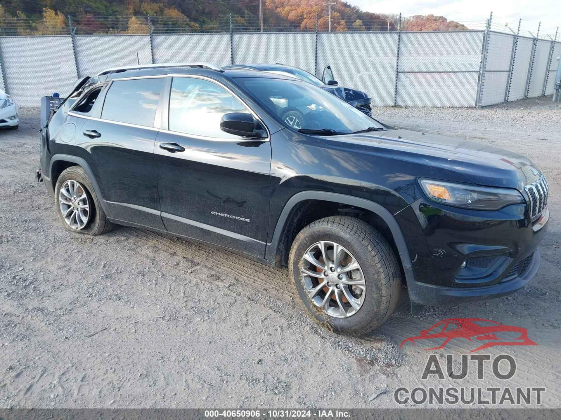 JEEP CHEROKEE 2020 - 1C4PJMLB3LD548717