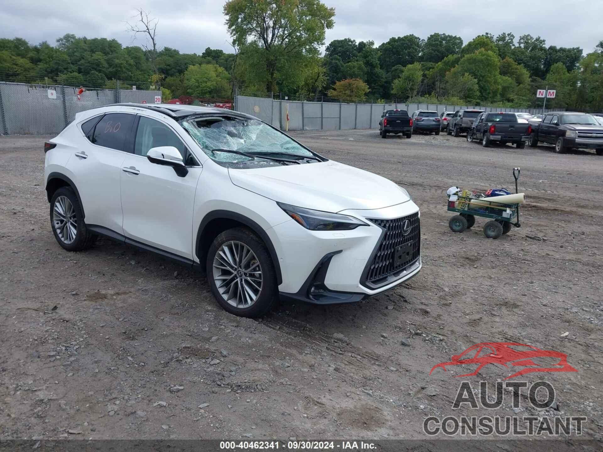 LEXUS NX 350H 2024 - JTJHKCEZ3R2029562