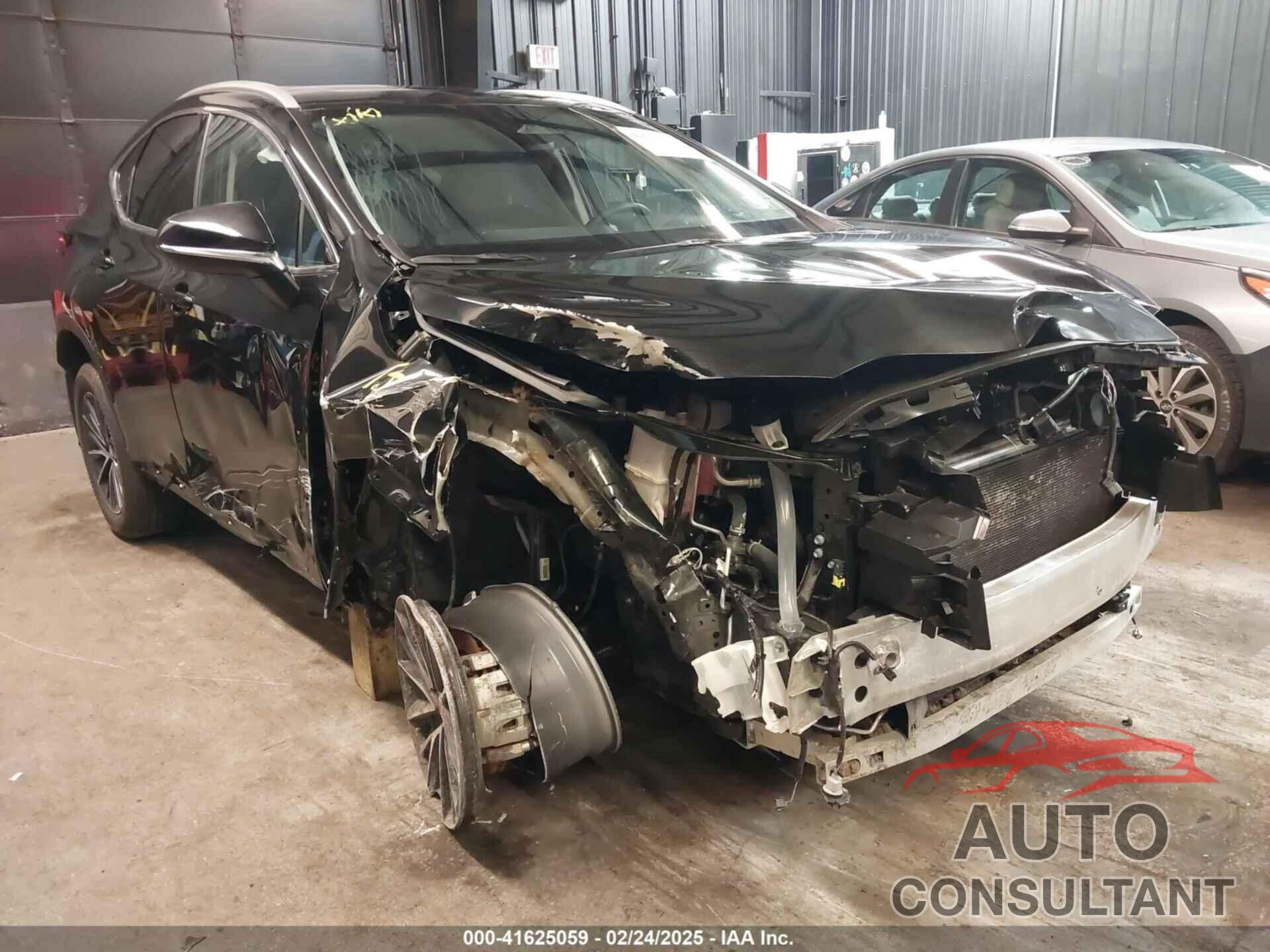 LEXUS NX 350 2025 - 2T2GGCEZ5SC063294