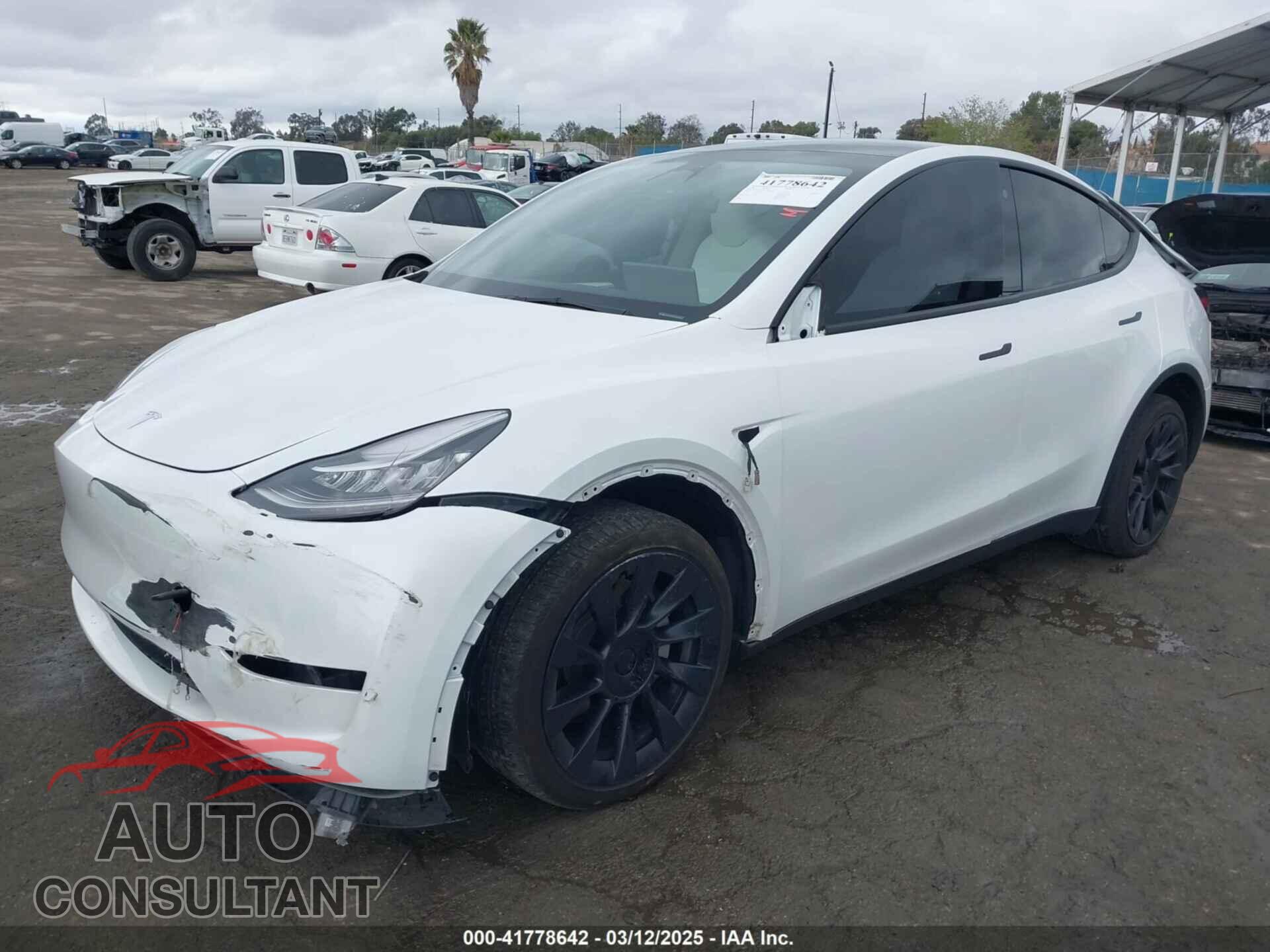 TESLA MODEL Y 2023 - 7SAYGDEE1PA106057