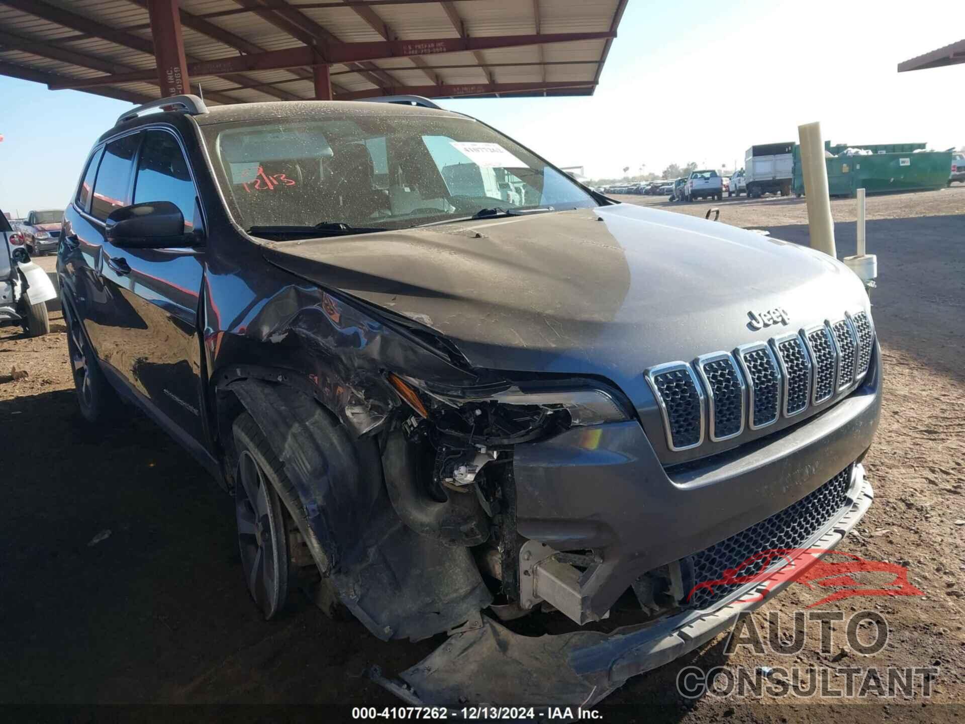 JEEP CHEROKEE 2019 - 1C4PJMDX1KD305514