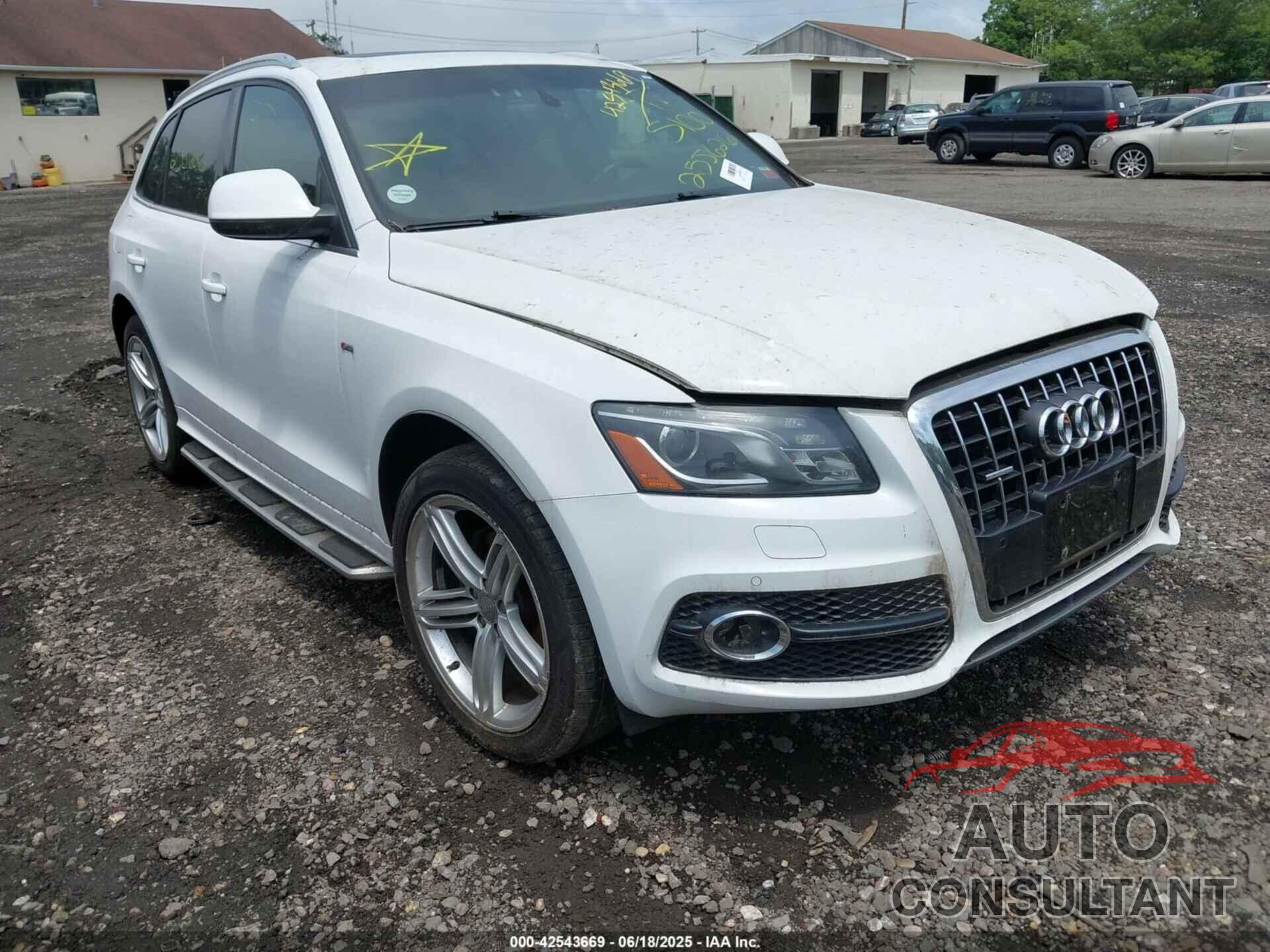 AUDI Q5 2010 - WA1WKAFP0AA082106