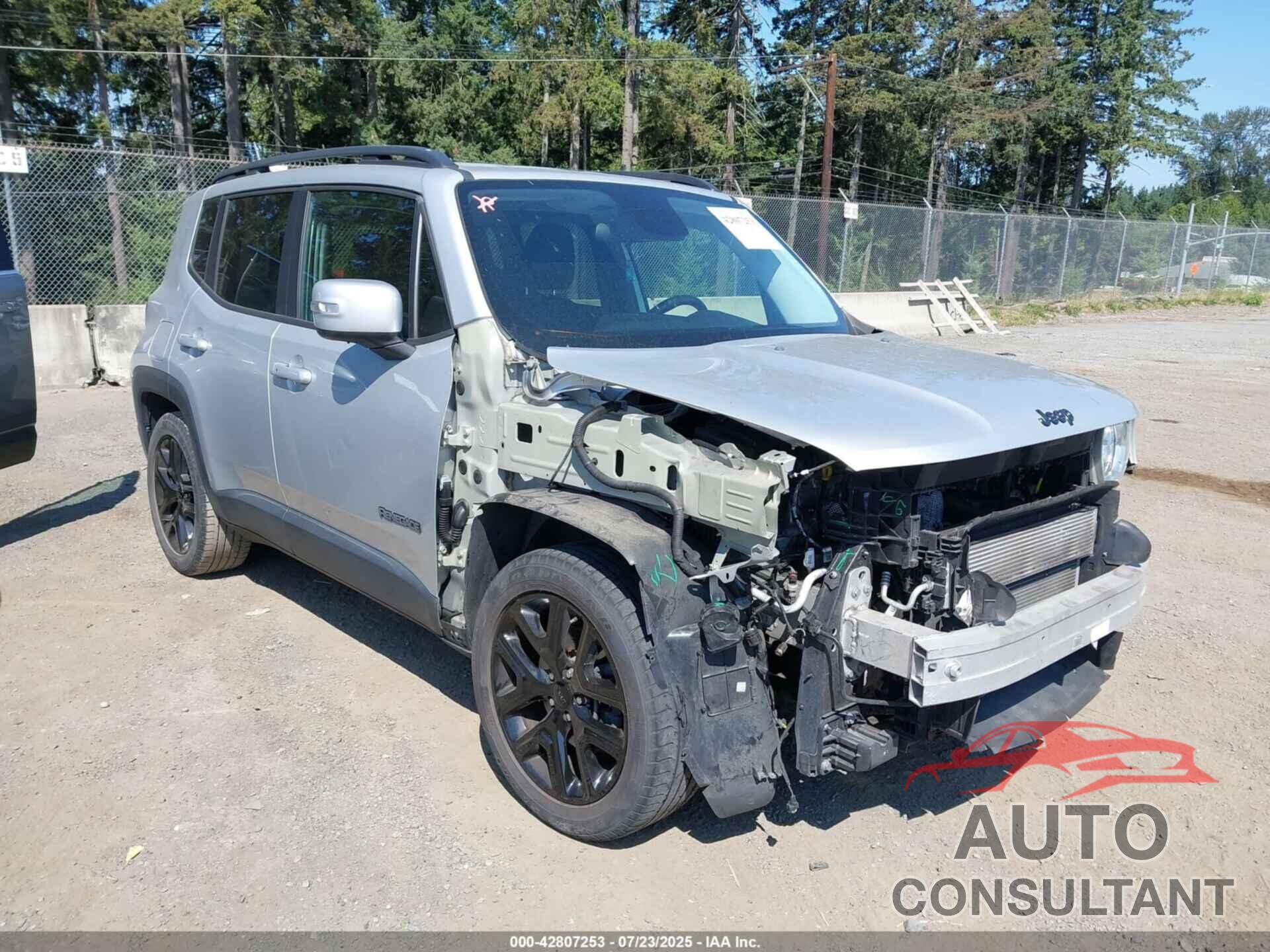 JEEP RENEGADE 2017 - ZACCJABB9HPG50241
