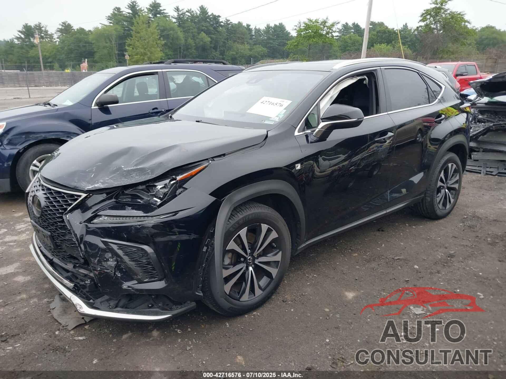 LEXUS NX 300 2020 - JTJSARDZ9L5008931
