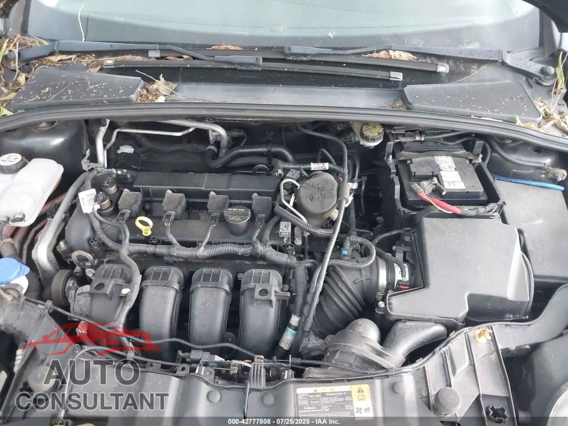 FORD FOCUS 2012 - 1FAHP3M2XCL101437
