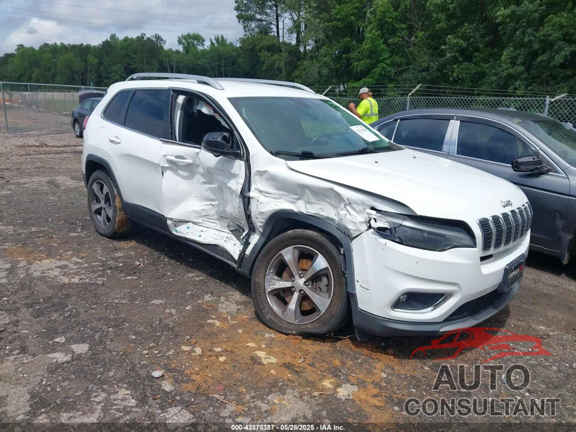 JEEP CHEROKEE 2019 - 1C4PJMDX1KD282154