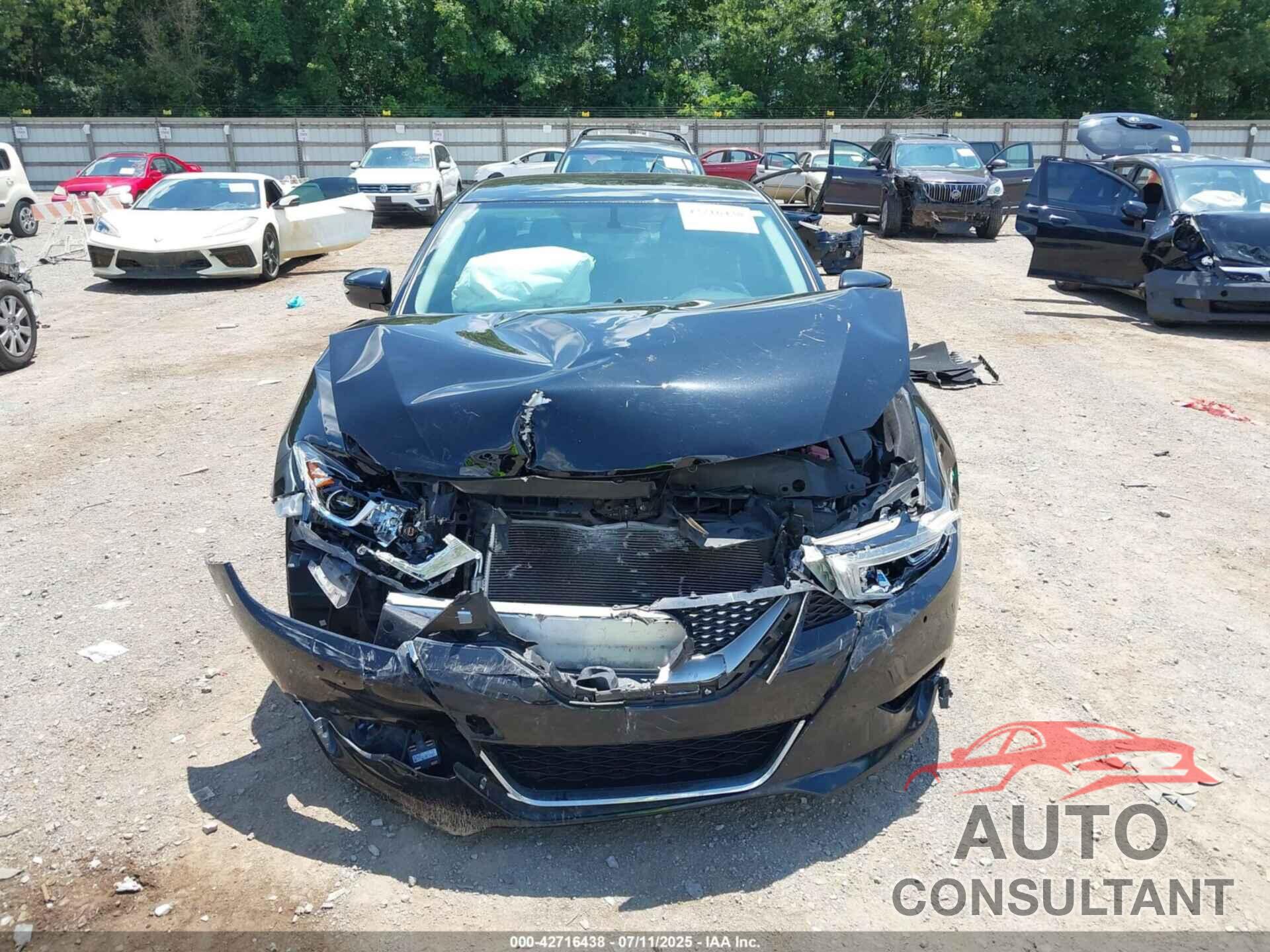NISSAN MAXIMA 2017 - 1N4AA6APXHC416346
