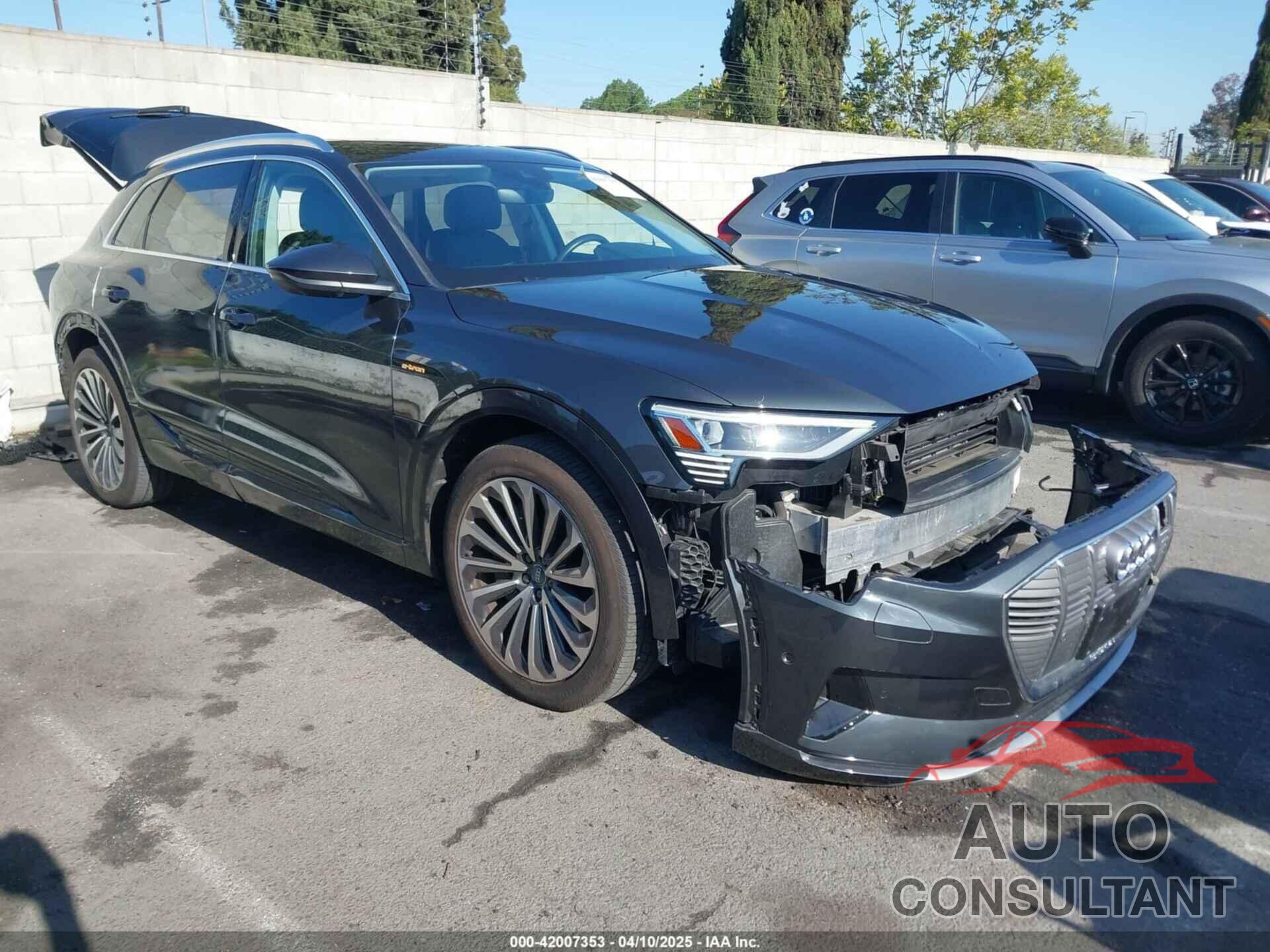 AUDI E-TRON 2019 - WA1VAAGE2KB021539