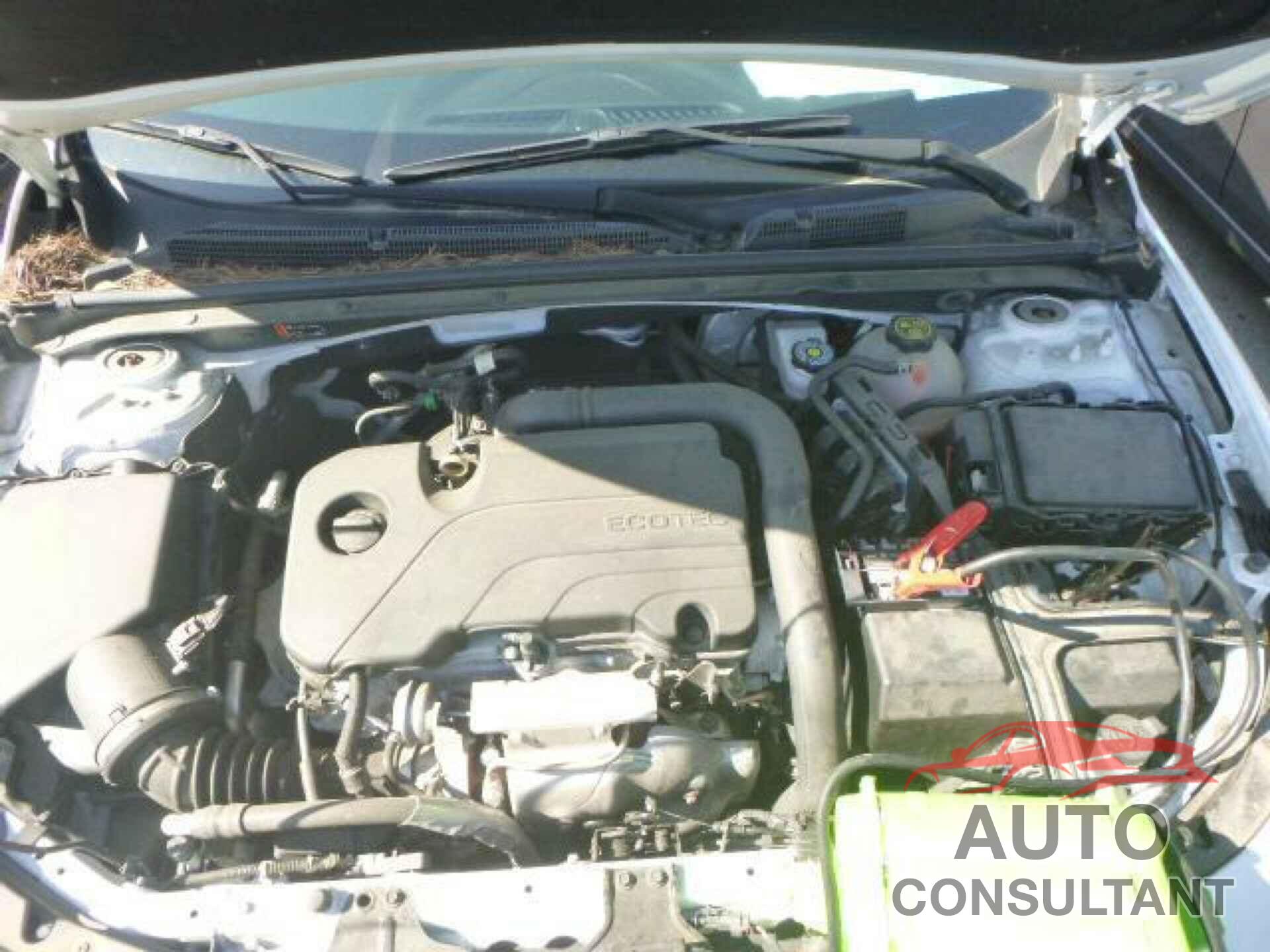 CHEVROLET MALIBU 2019 - 1G1ZC5ST6KF199132