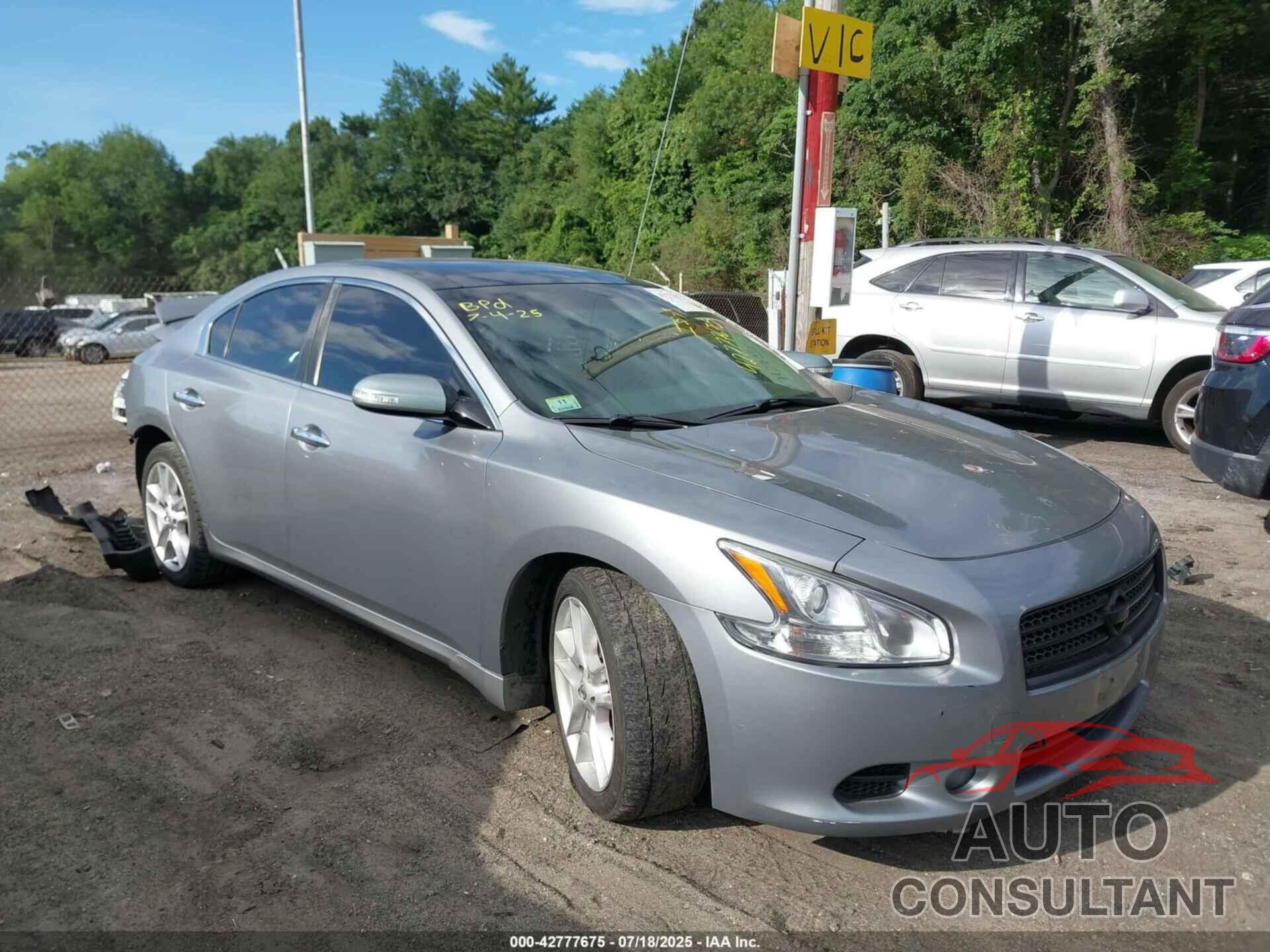 NISSAN MAXIMA 2009 - 1N4AA51E09C800825
