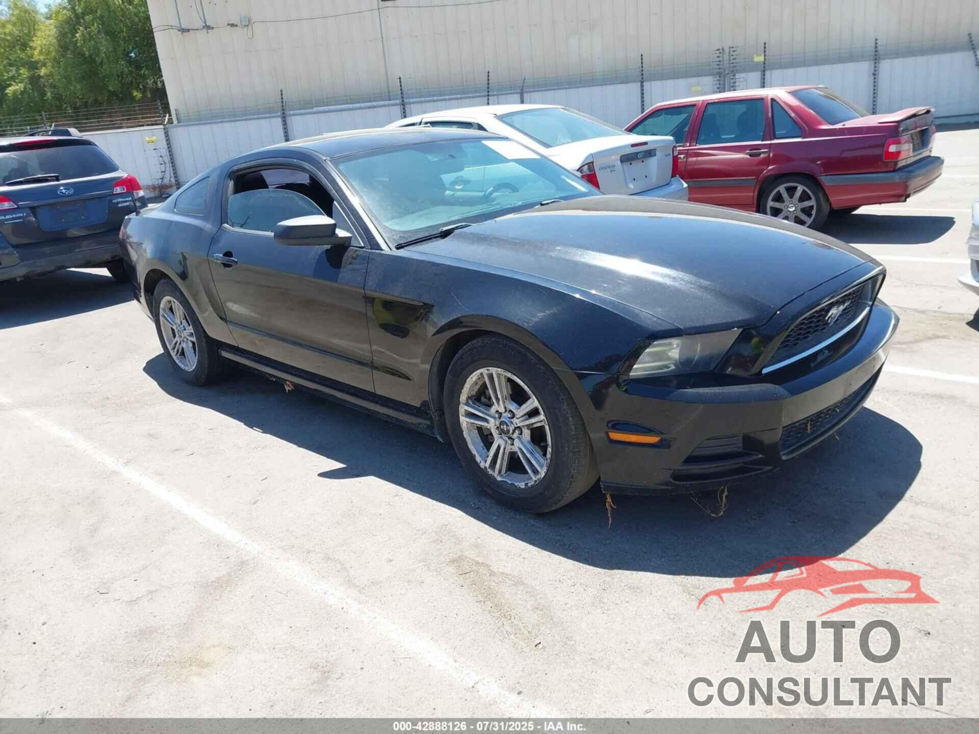 FORD MUSTANG 2014 - 1ZVBP8AM0E5240189