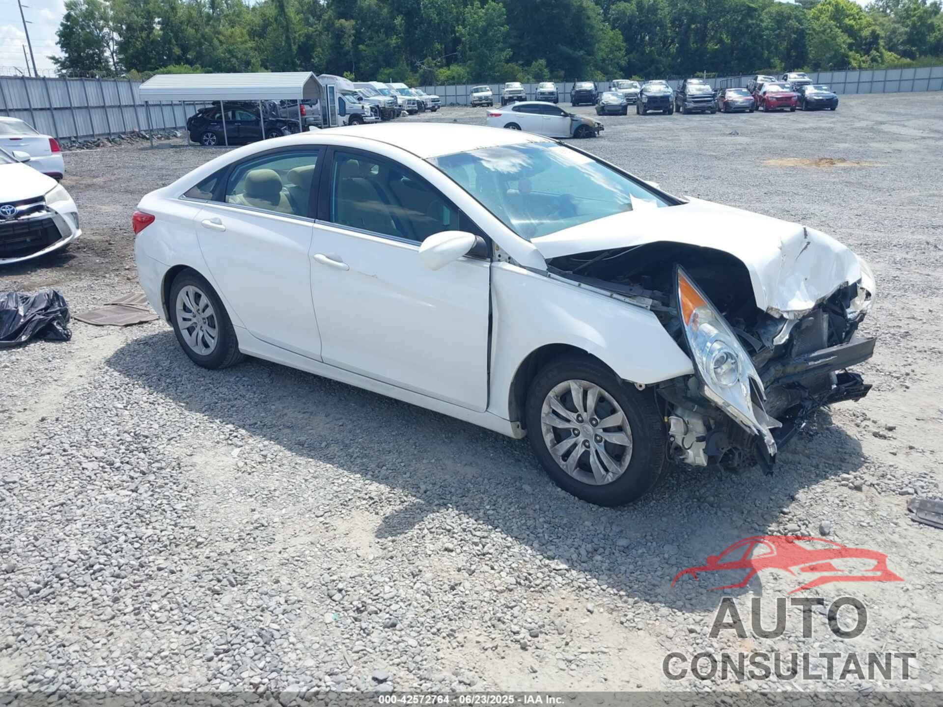HYUNDAI SONATA 2013 - 5NPEB4AC0DH536567