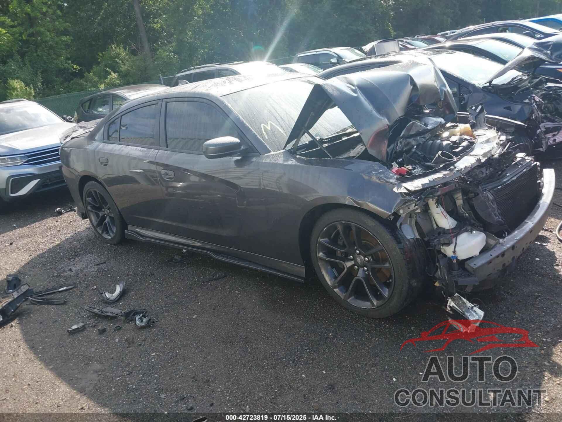 DODGE CHARGER 2021 - 2C3CDXGJ3MH579452