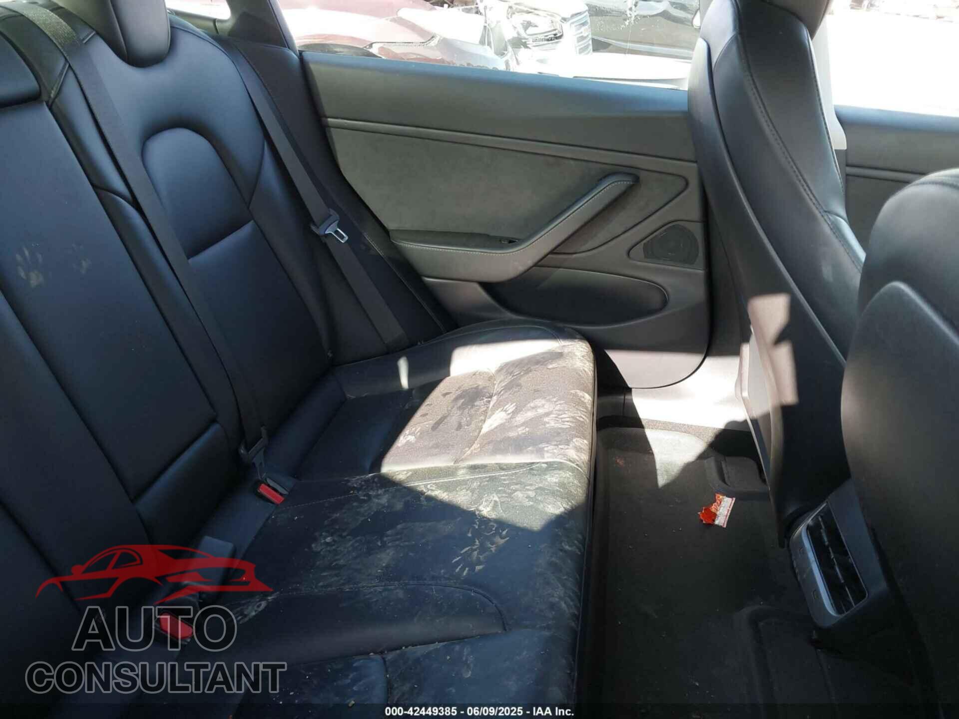 TESLA MODEL 3 2019 - 5YJ3E1EB5KF389804
