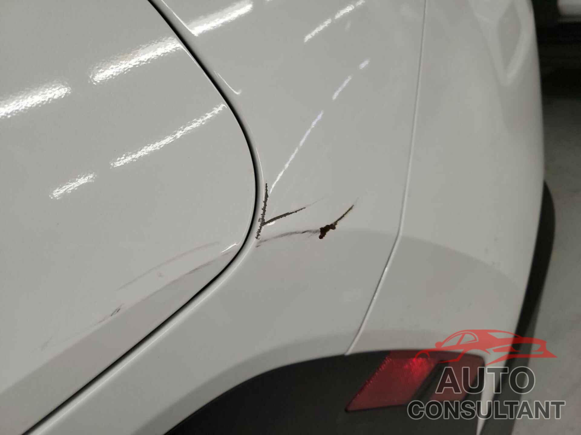 HYUNDAI TUCSON 2024 - 5NMJBCDE1RH388133