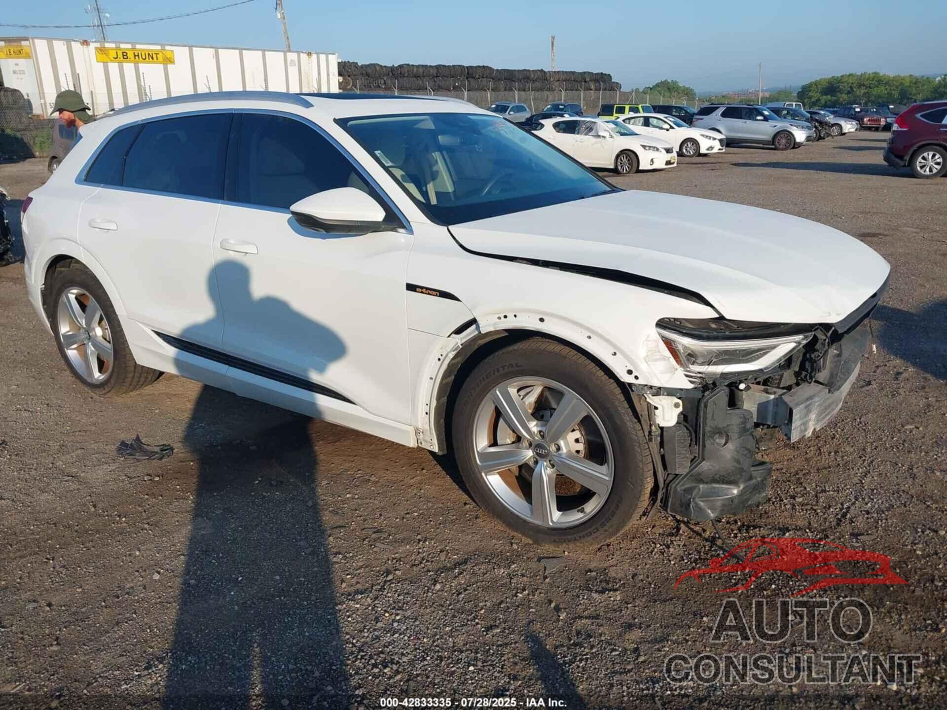AUDI E-TRON 2019 - WA1LAAGE4KB023512