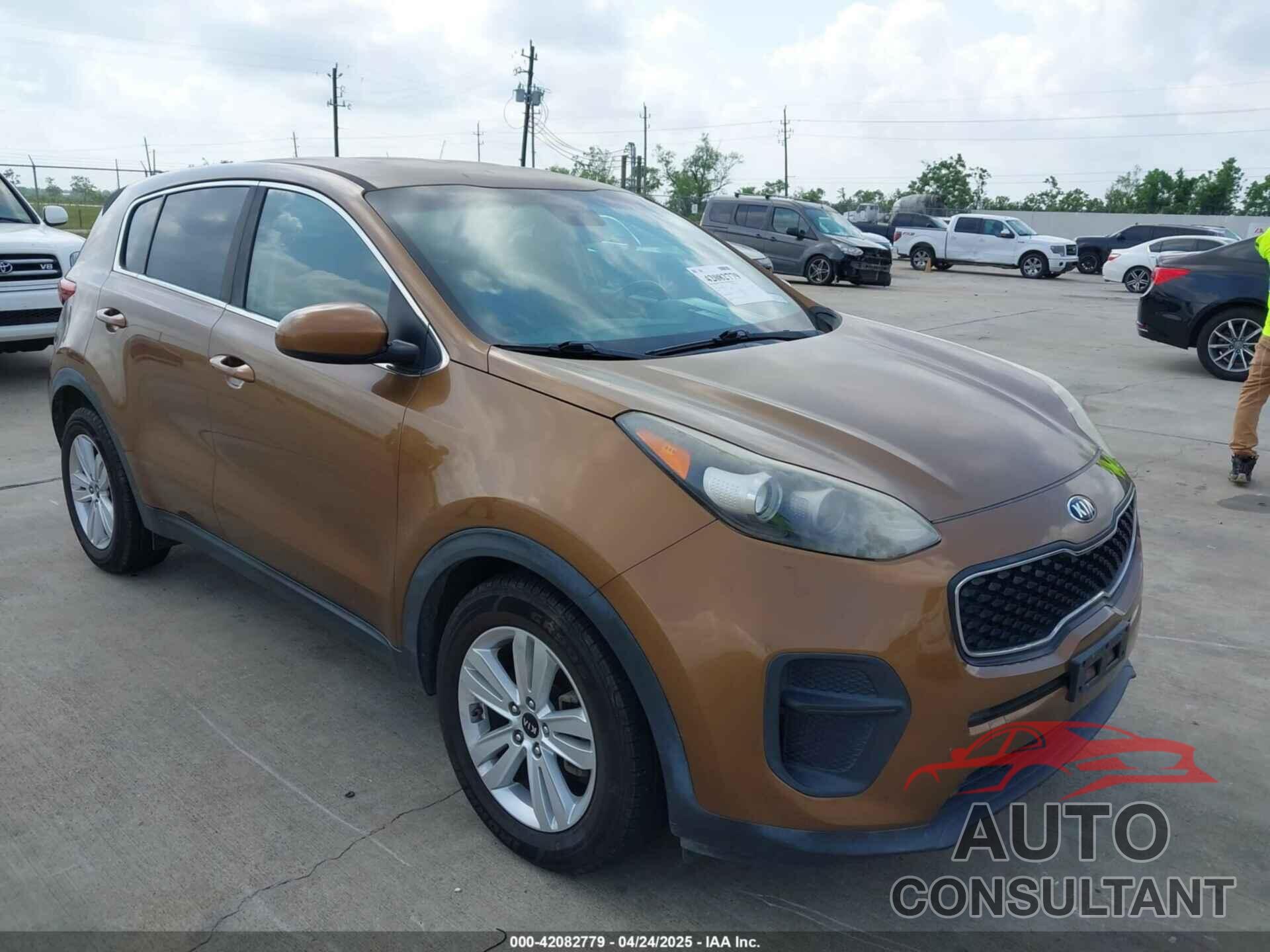 KIA SPORTAGE 2017 - KNDPM3AC5H7136737