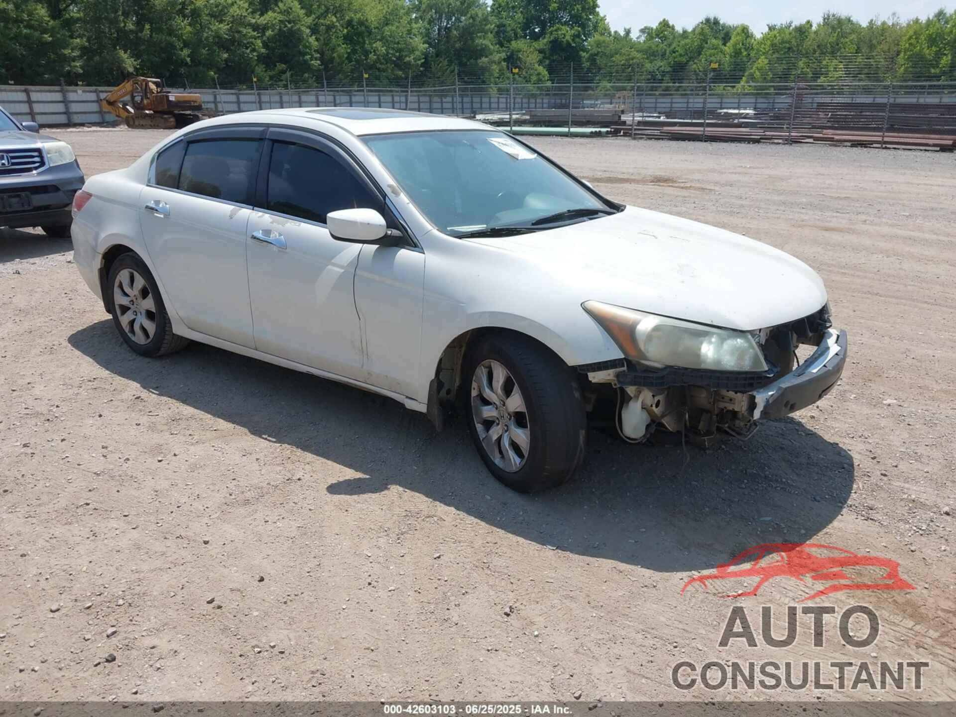 HONDA ACCORD 2010 - 5KBCP3F85AB013189