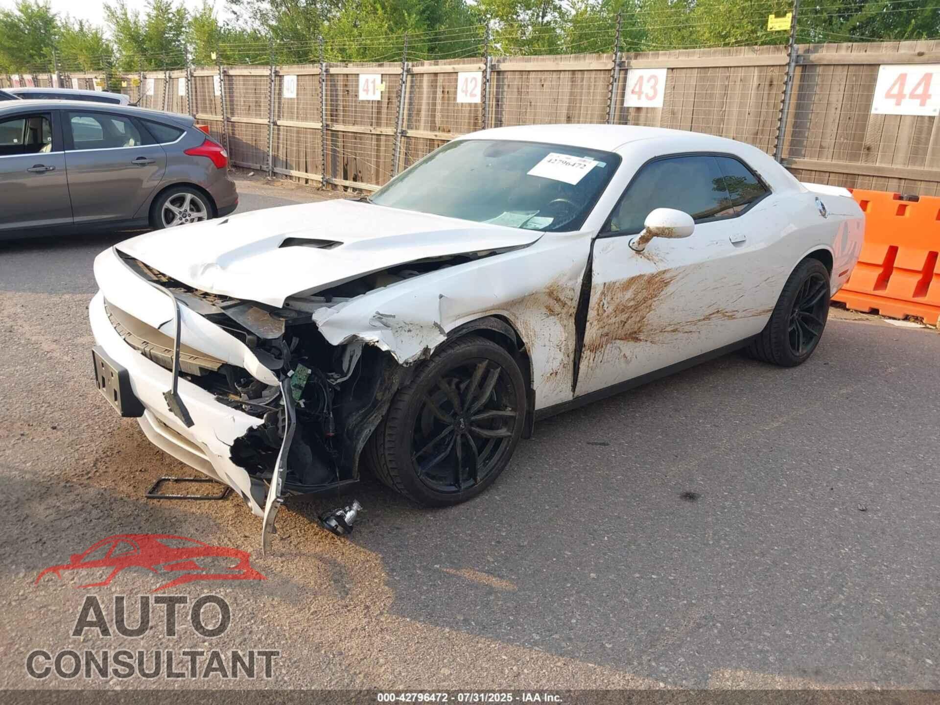 DODGE CHALLENGER 2019 - 2C3CDZAG9KH668643