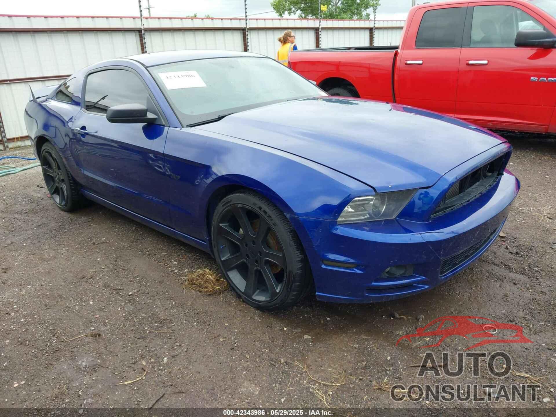 FORD MUSTANG 2014 - 1ZVBP8AM2E5321551