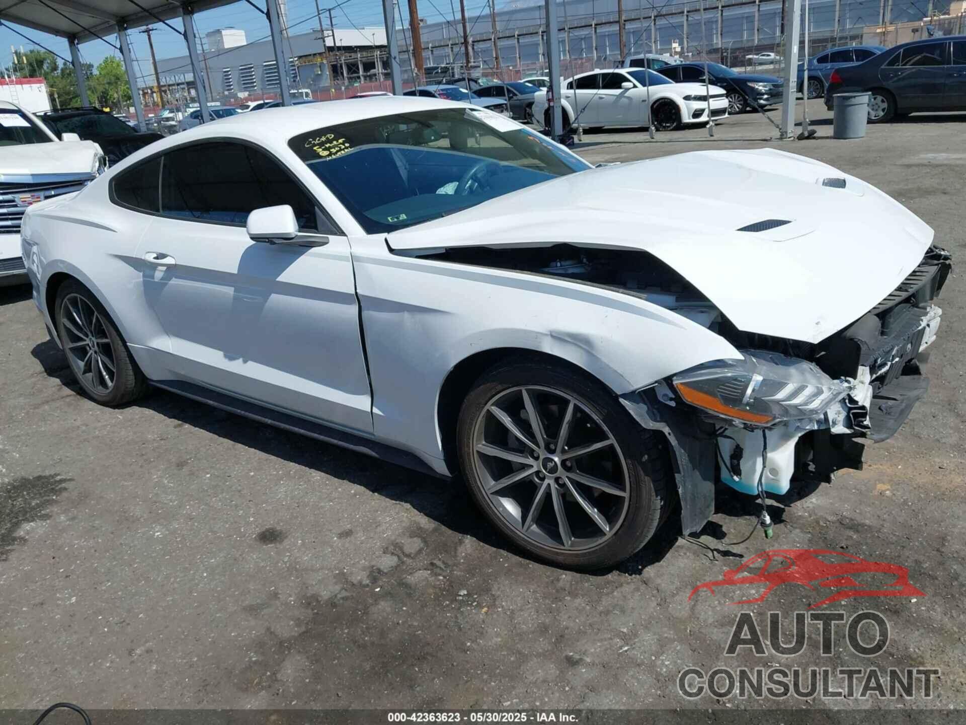 FORD MUSTANG 2019 - 1FA6P8TH3K5123485